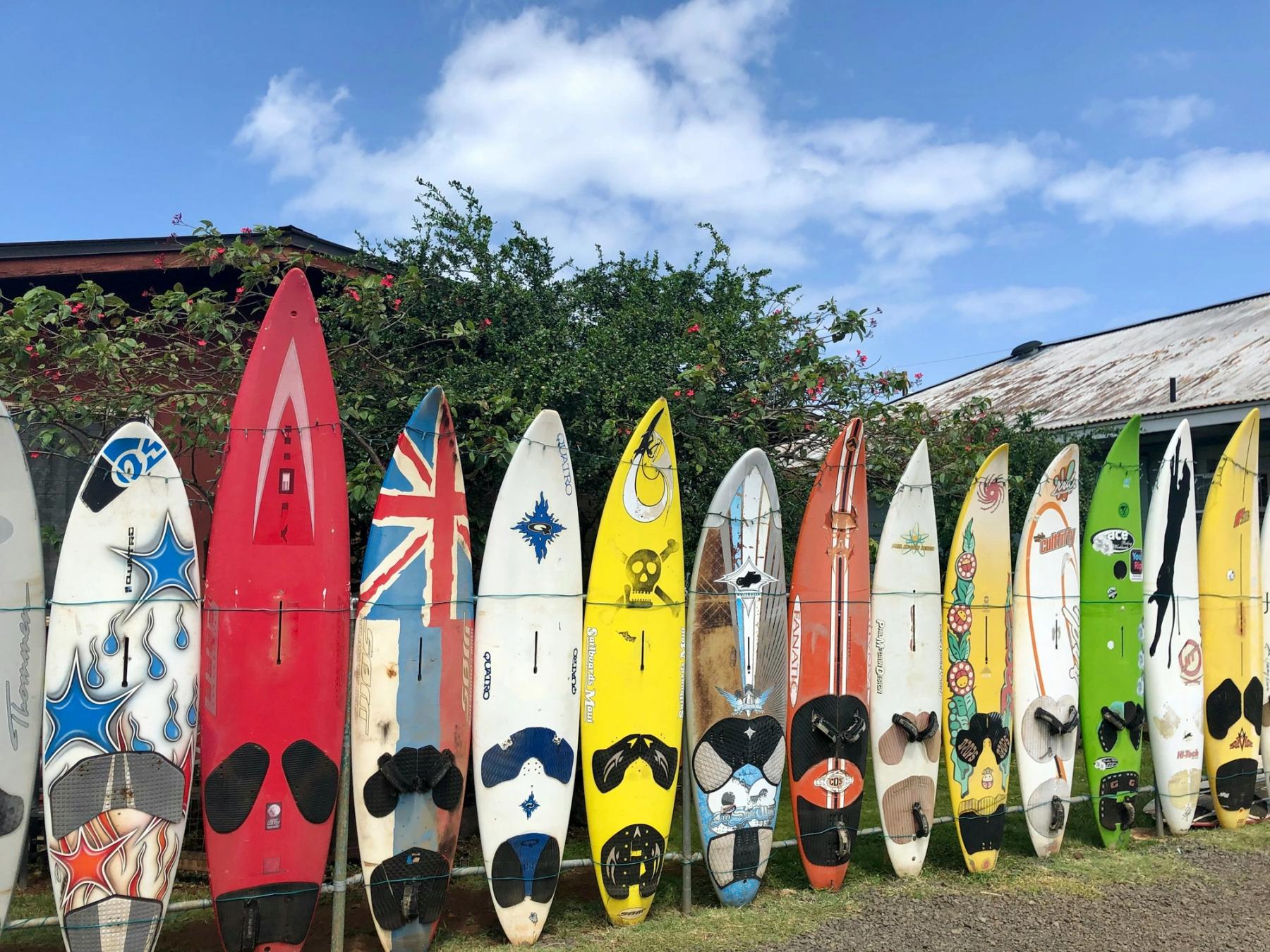 Row of colorful surfboards standing upright in grass beneath a blue, partly cloudy sky.