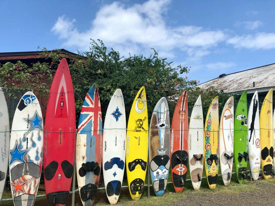 Row of colorful surfboards standing upright in grass beneath a blue, partly cloudy sky.