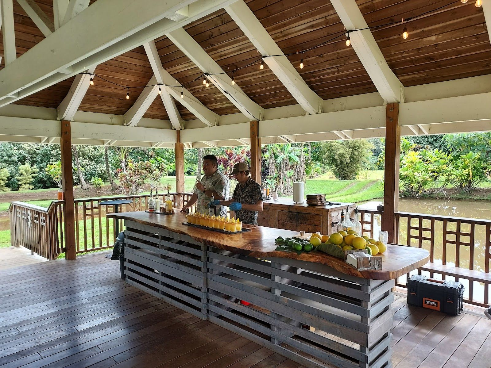 Kauai Safaris in Lihue, Kaua‘i photo 2