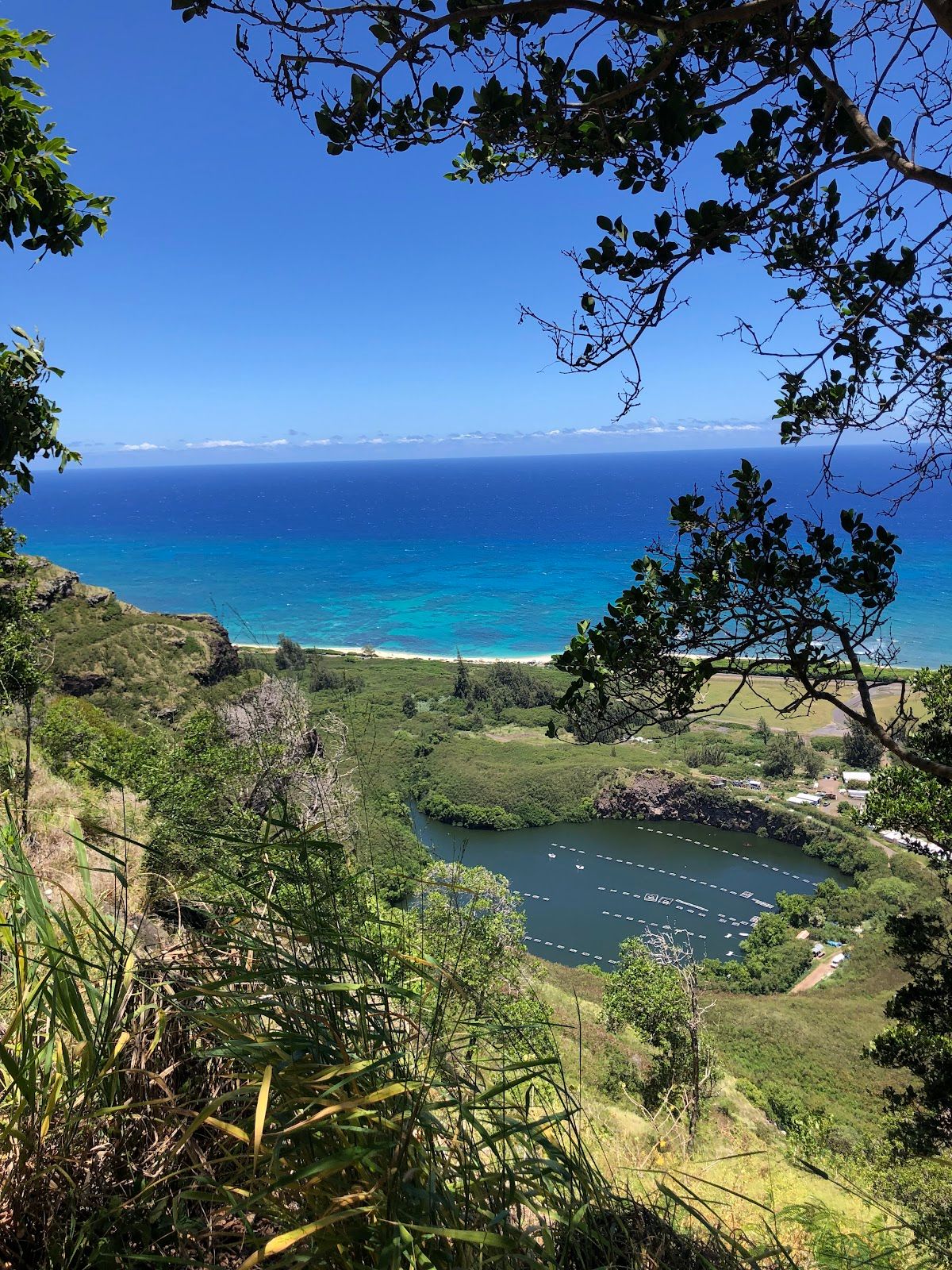 Photo 8 of Keālia Trail in Waialua & Mokulēʻia, Oahu