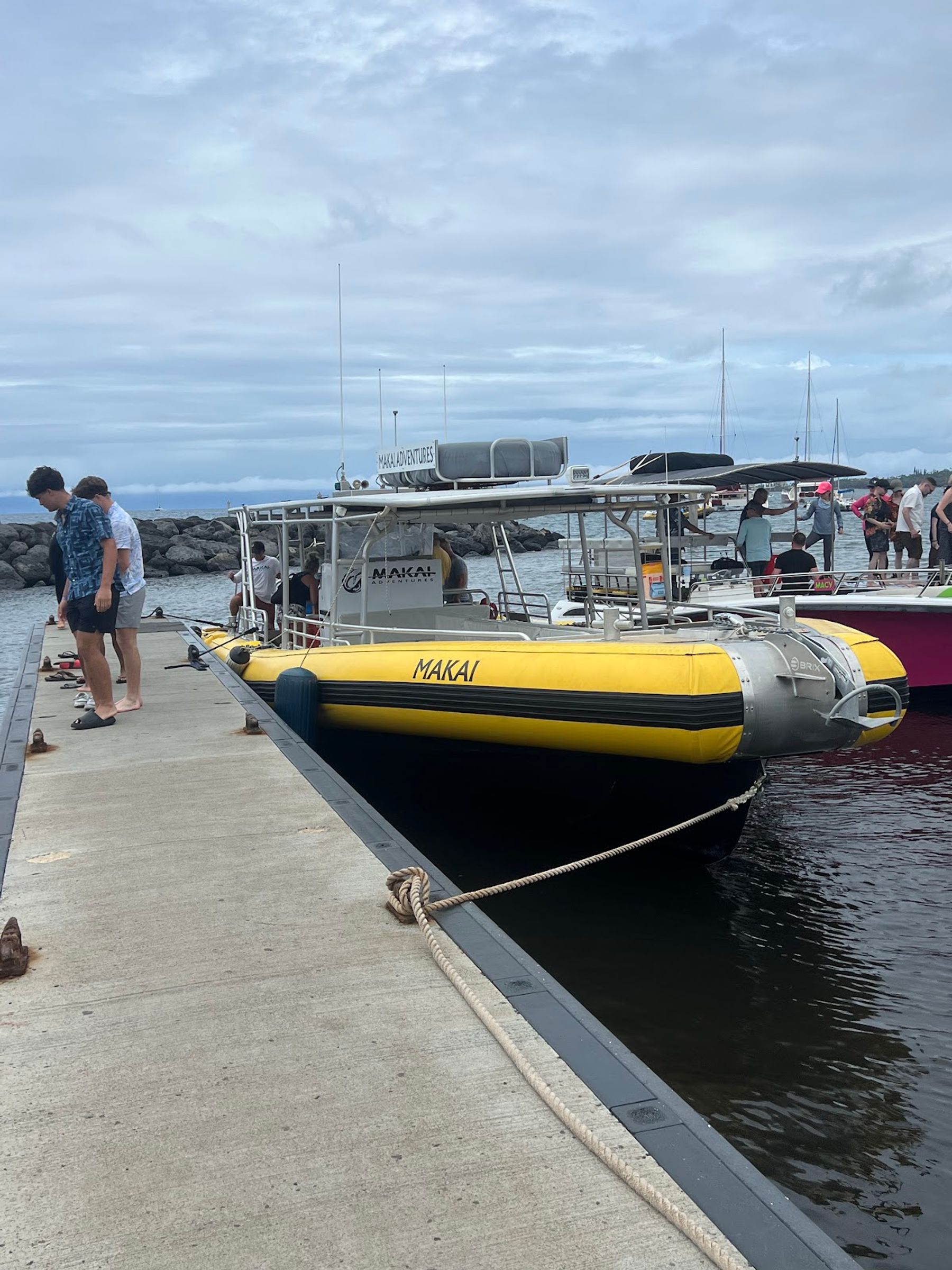 Photo 4 of Makai Adventures - WHALES GUARANTEED! Maui Whale Watching, Dolphins, Snorkeling, Private Charters in Lāhainā, Maui