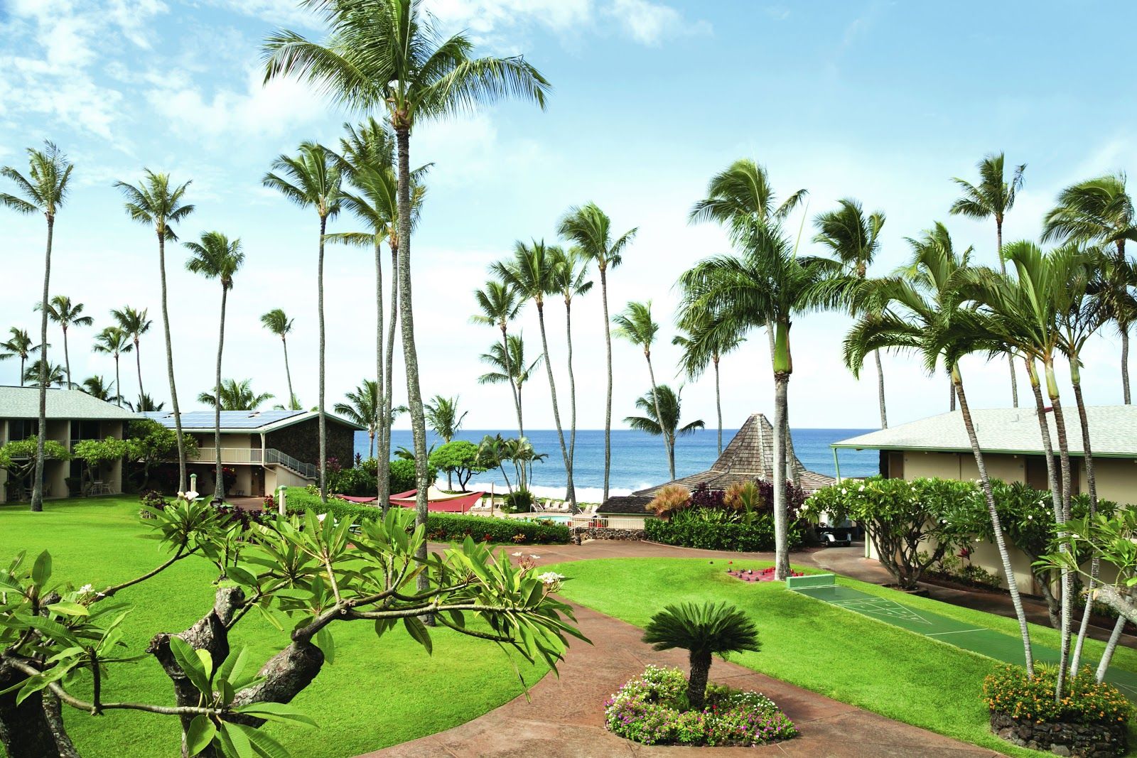 Photo 10 of Napili Shores Maui by Outrigger in Kapalua, Maui