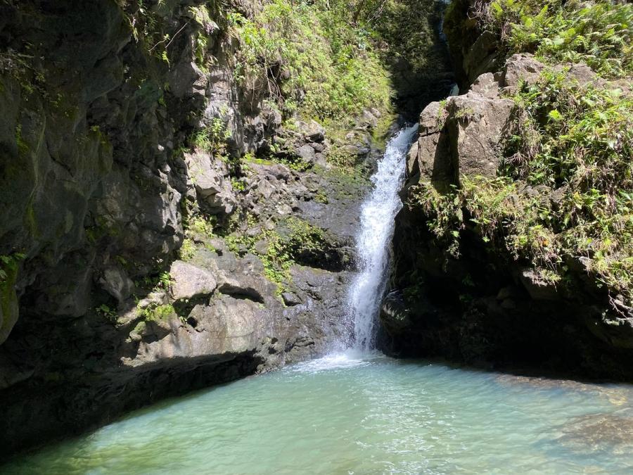 Photo 1 of Makamakaole Trail in Wailuku, Maui