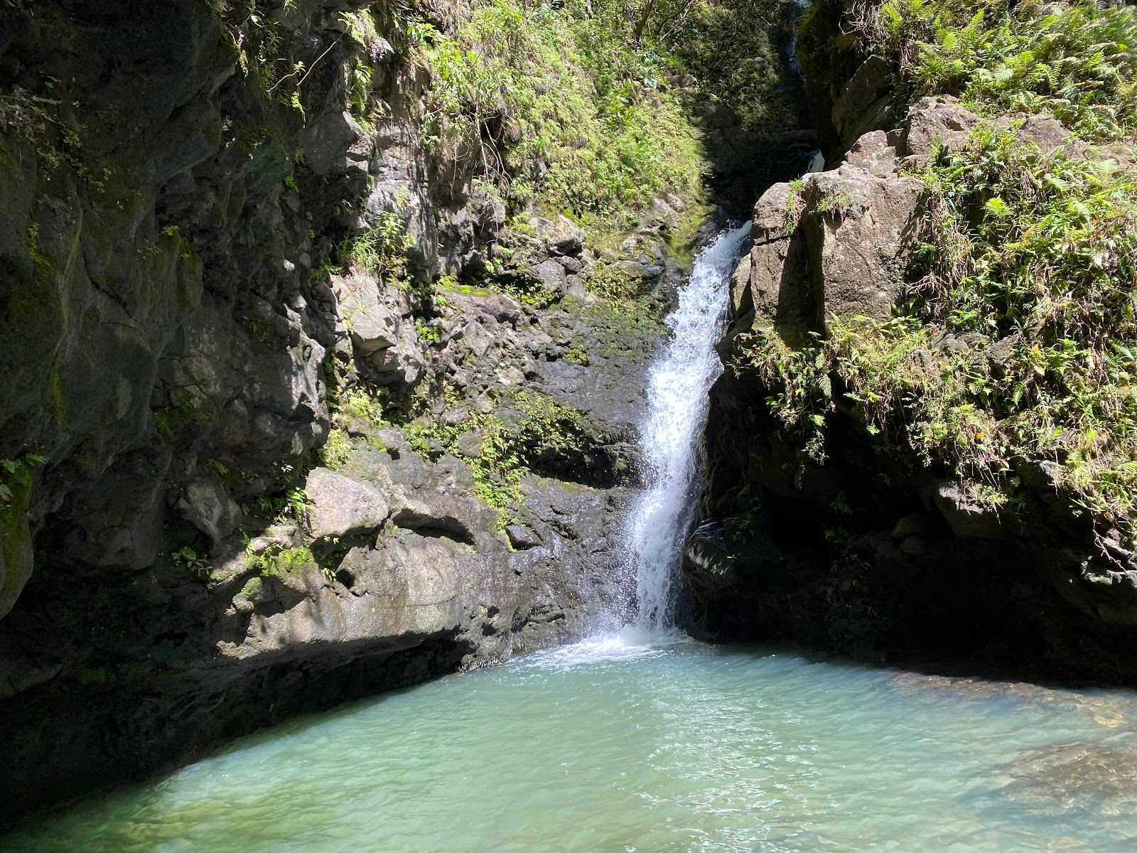 Photo 1 of Makamakaole Trail in Wailuku, Maui