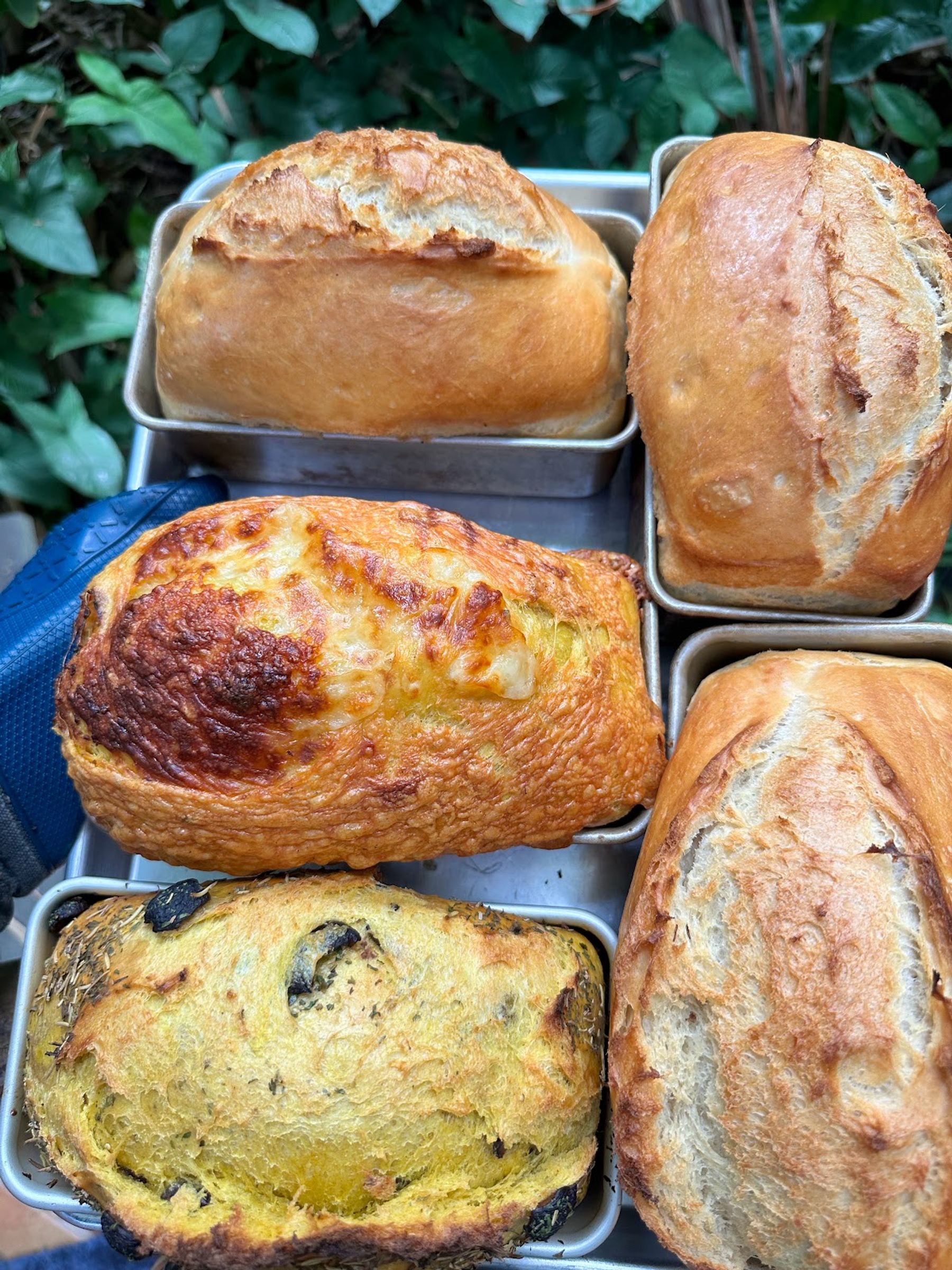 Photo 7 of Breadbasket & more in South Kona, Big Island