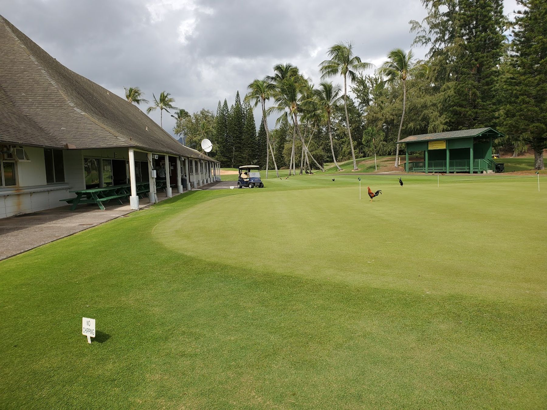 Wailua Golf Course in Lihue, Kaua‘i photo 6