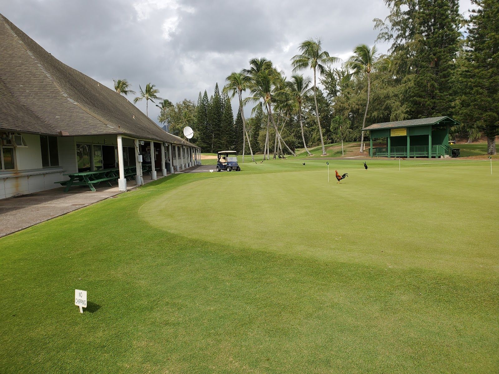 Wailua Golf Course in Lihue, Kaua‘i photo 6