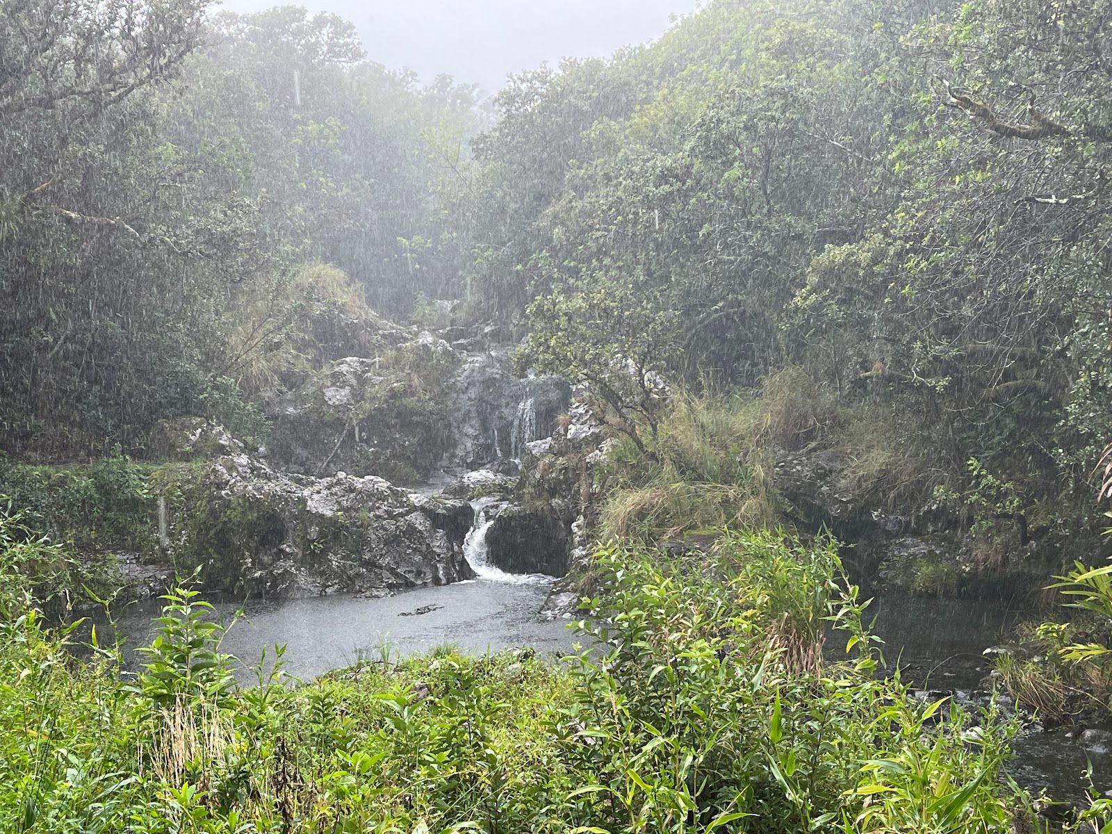 Photo 9 of Kohala UTV Adventure in North Kohala, Big Island