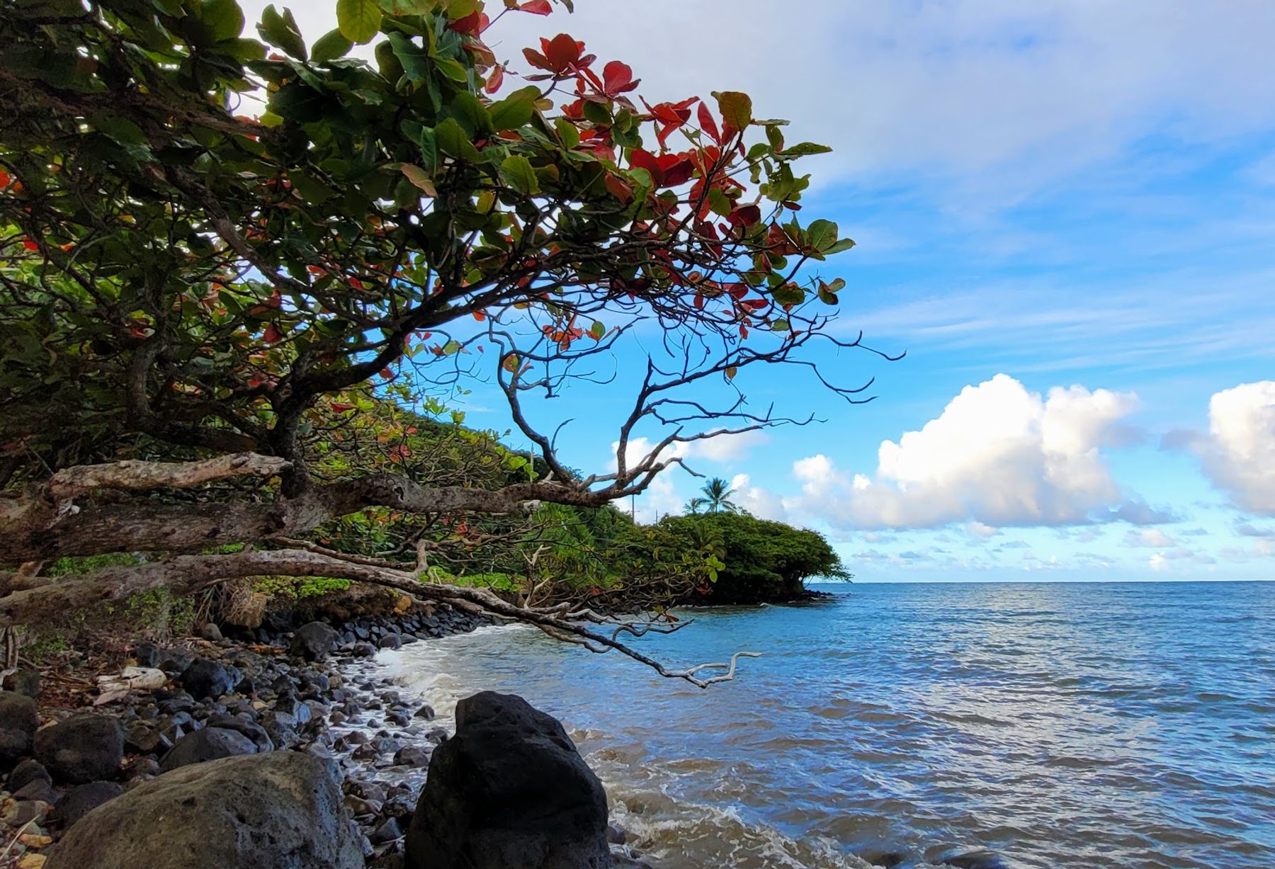 Photo 8 of Kahana Bay Beach Park in Kualoa & North Windward, Oahu