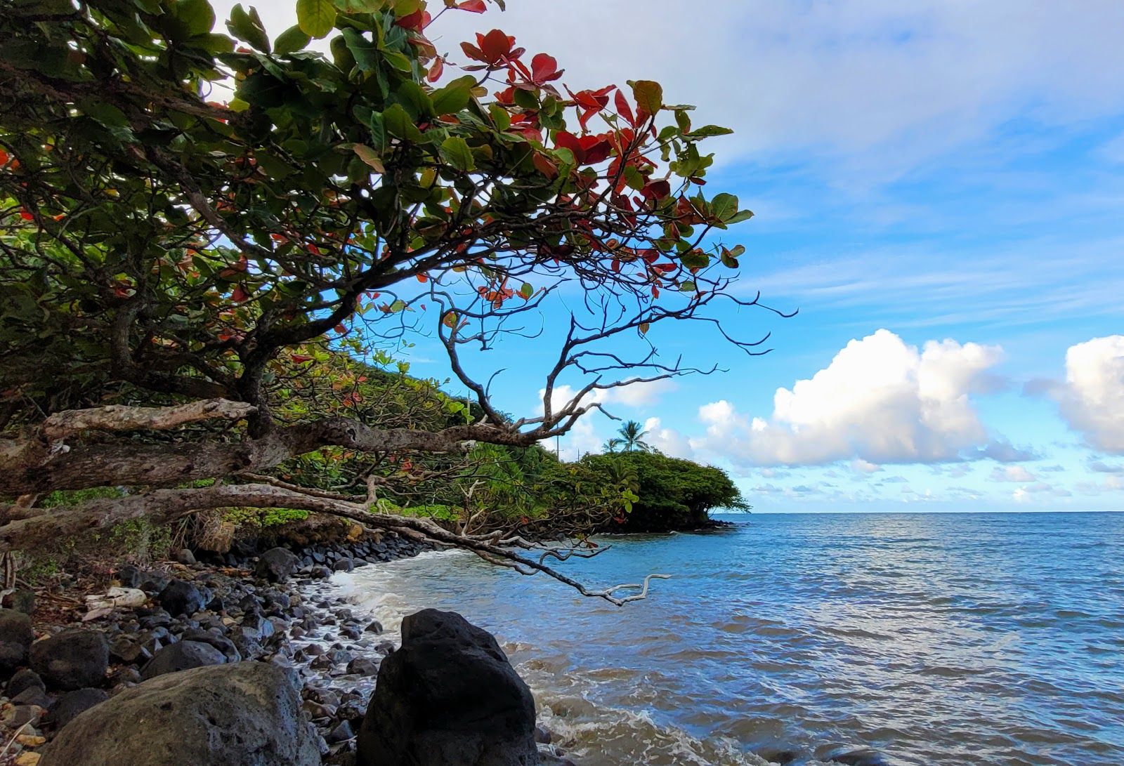 Photo 8 of Kahana Bay Beach Park in Kualoa & North Windward, Oahu