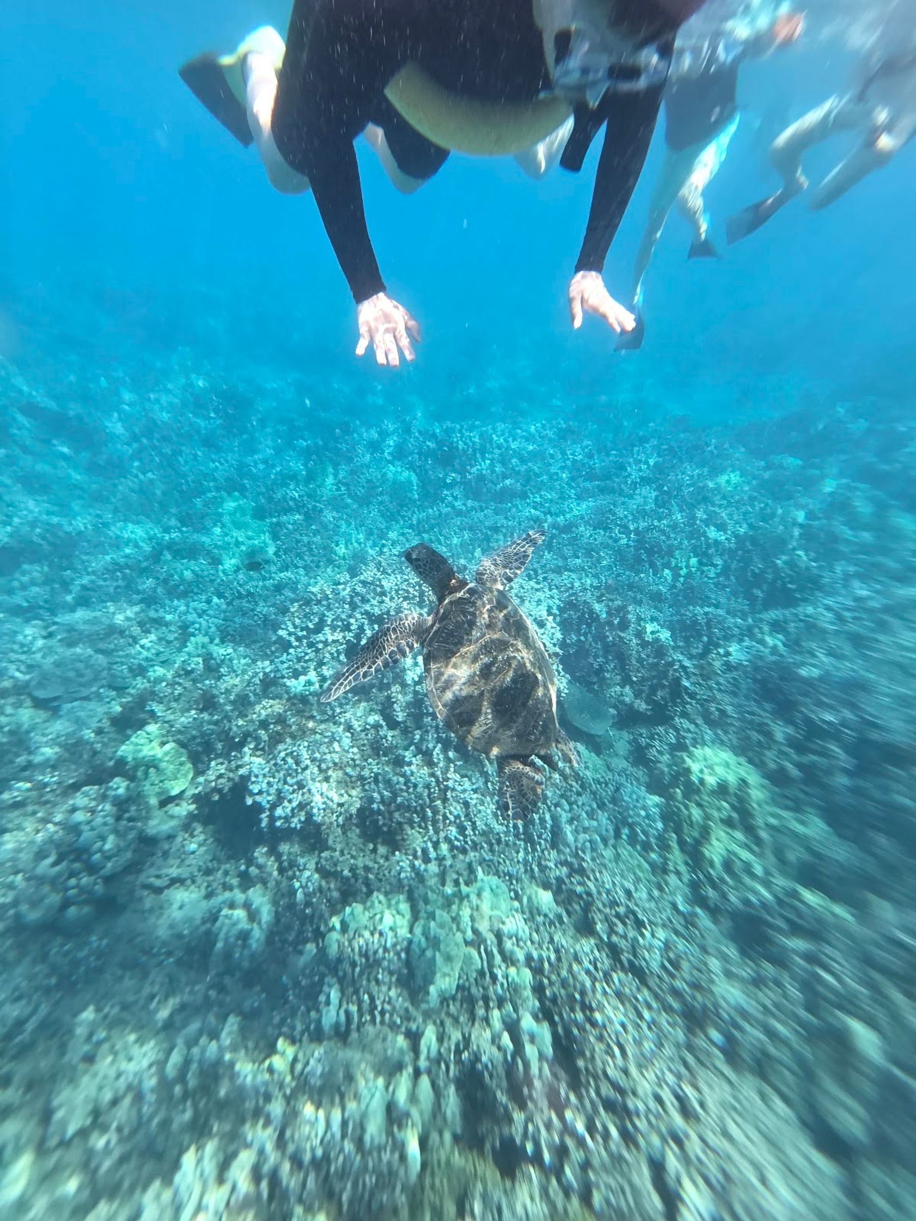 Photo 4 of Molokini Crater in Mākena, Maui