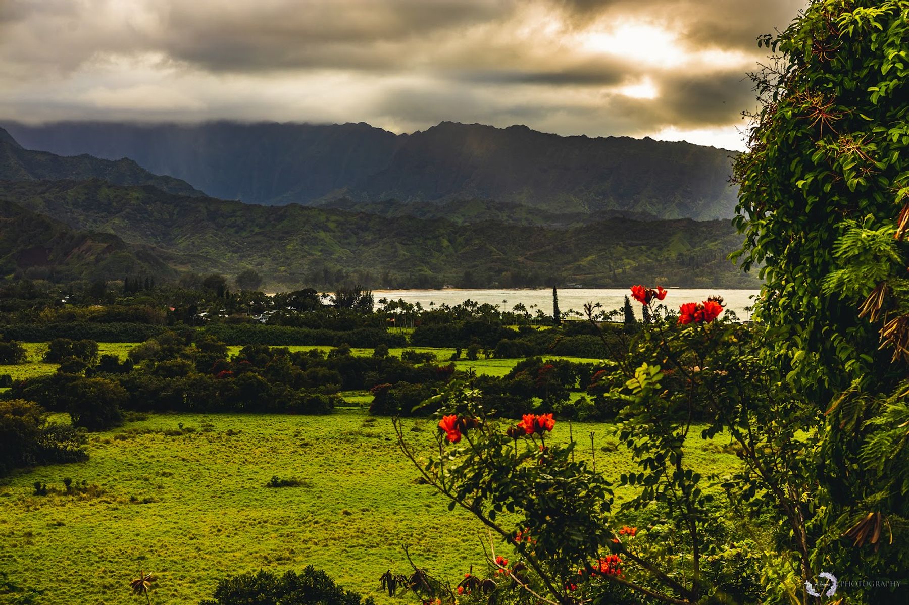 Hanalei Bay Lookout in Princeville, Kaua‘i