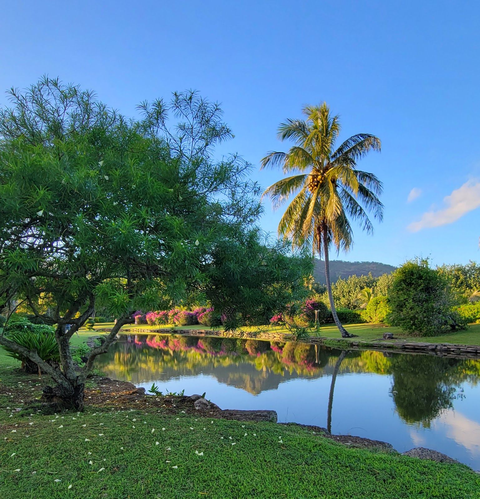 Photo 6 of Smith's Tropical Paradise in Kapaʻa, Kauai