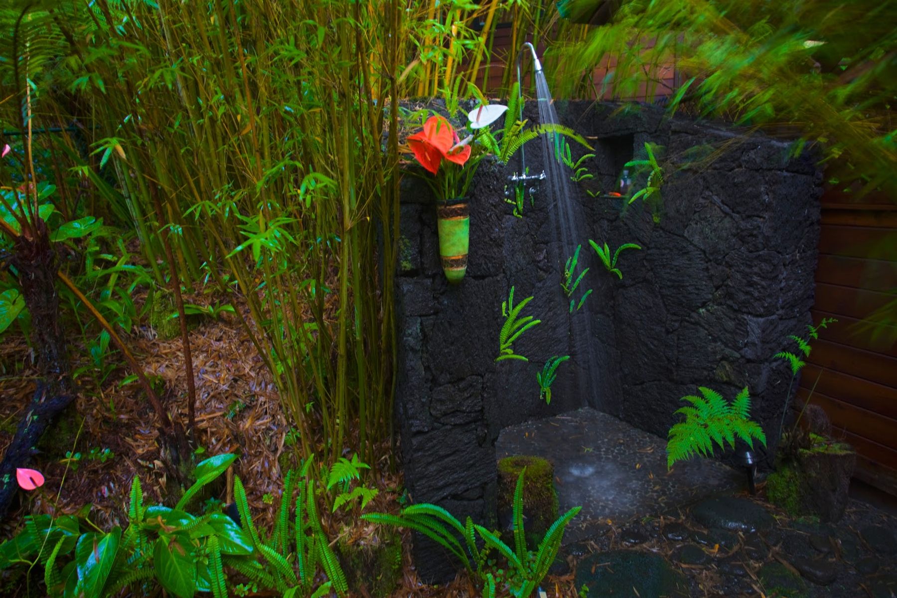 Photo 7 of Volcano Rainforest Retreat in Volcano, Big-island