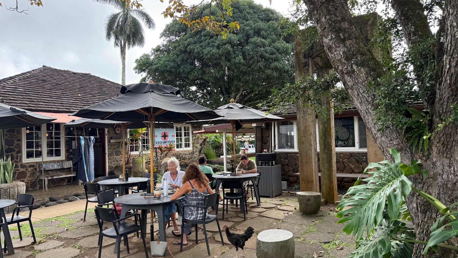 Photo 1 of Trilogy Coffee & Tea Bar in Kīlauea, Kauai
