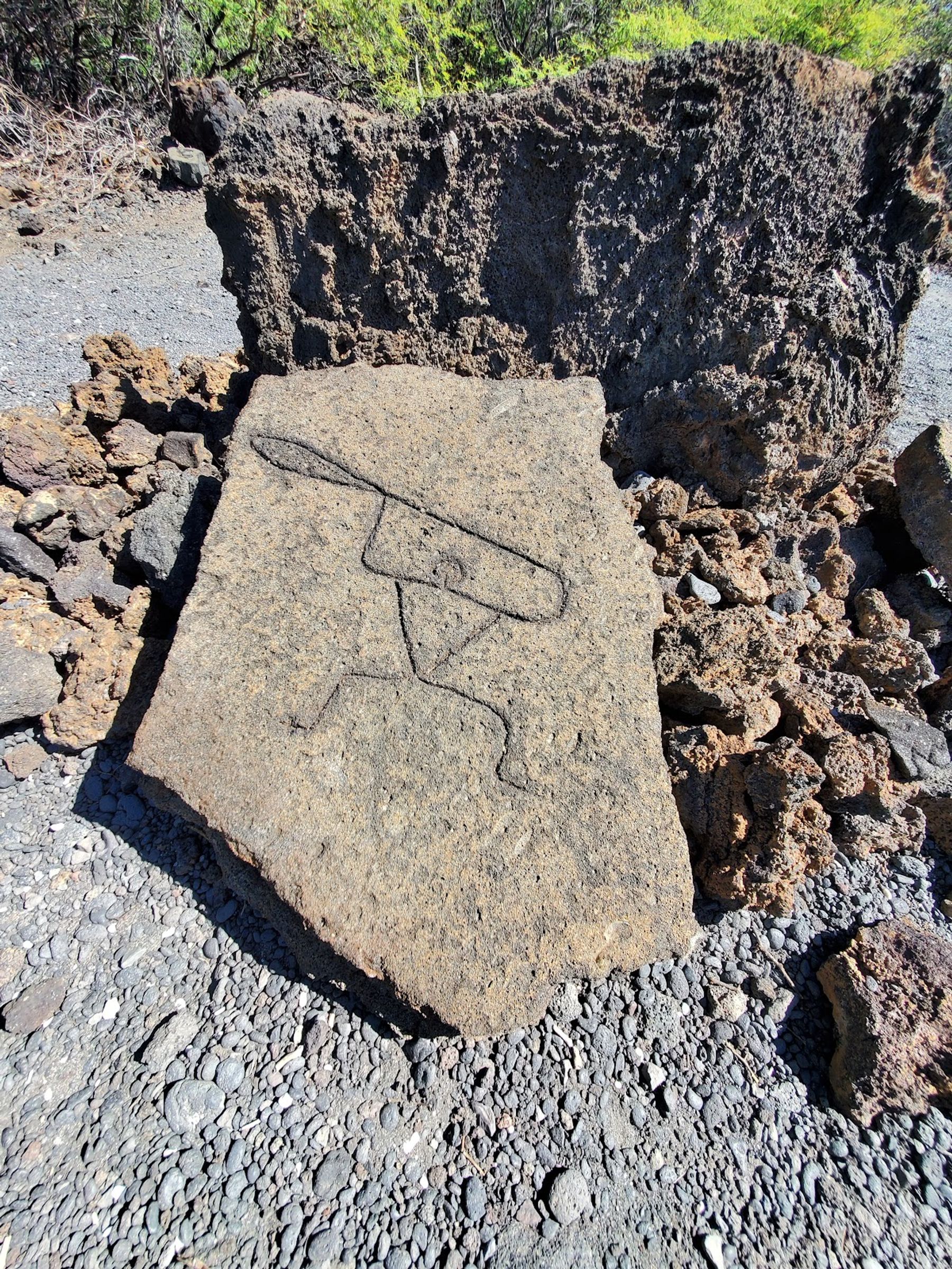 Photo 3 of Puakō Petroglyph Park in Waikoloa, Big Island
