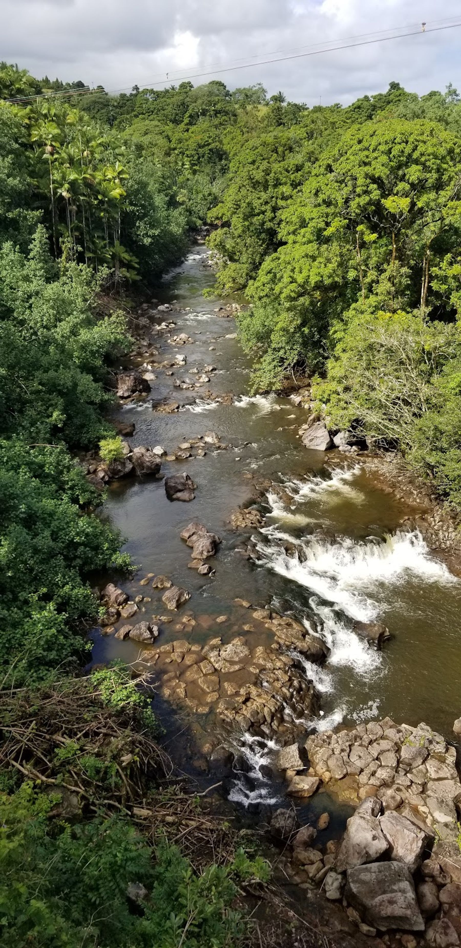Photo 10 of Umauma Falls in Greater Hilo, Big Island