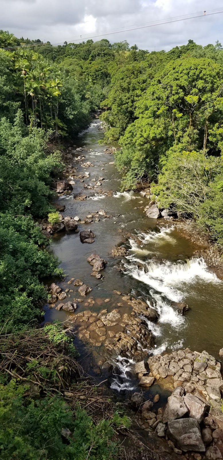 Photo 10 of Umauma Falls in Greater Hilo, Big Island