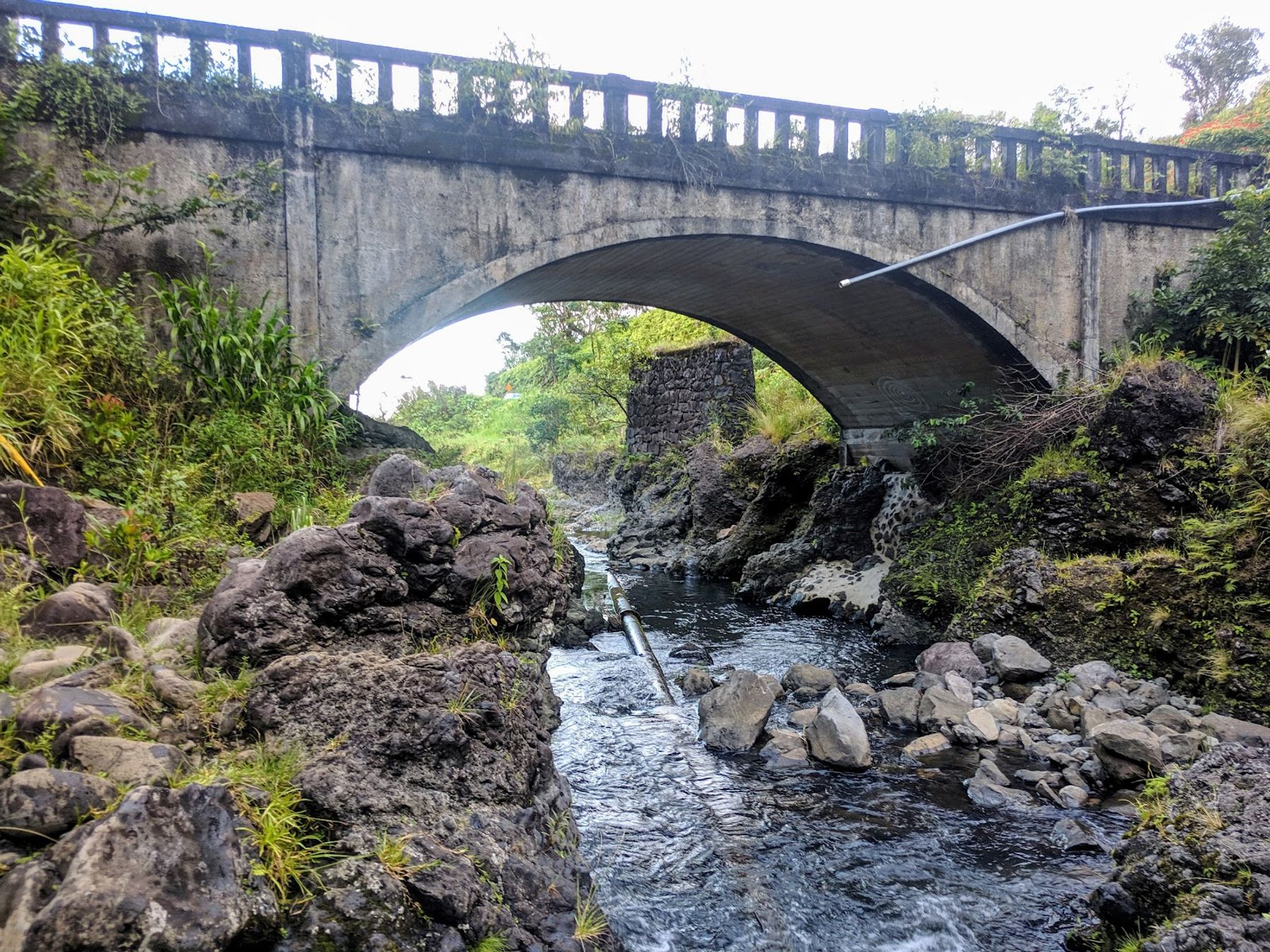 Photo 4 of Hanawi Falls in Keʻanae-Nāhiku, Maui