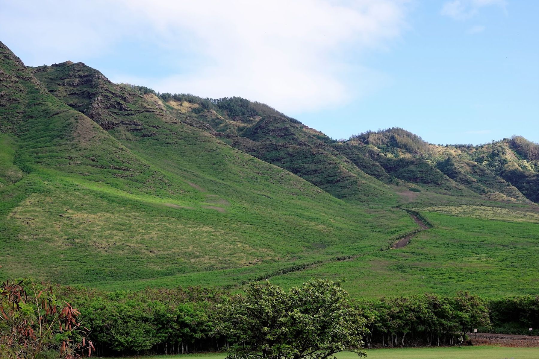 Photo 9 of Keawaula Beach in Waiʻanae Coast, Oahu