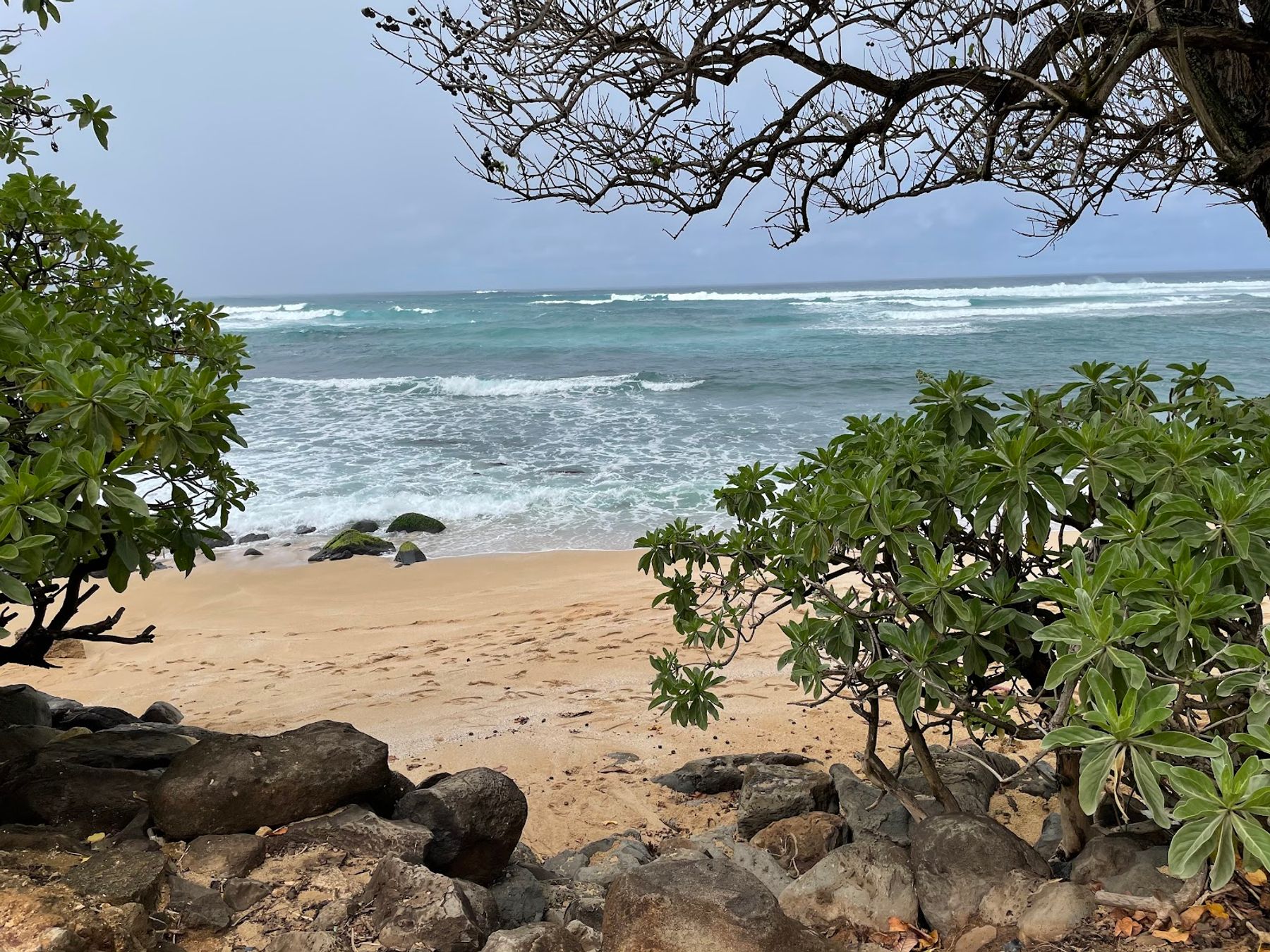 Photo 5 of Three Tables in Pūpūkea, Oahu