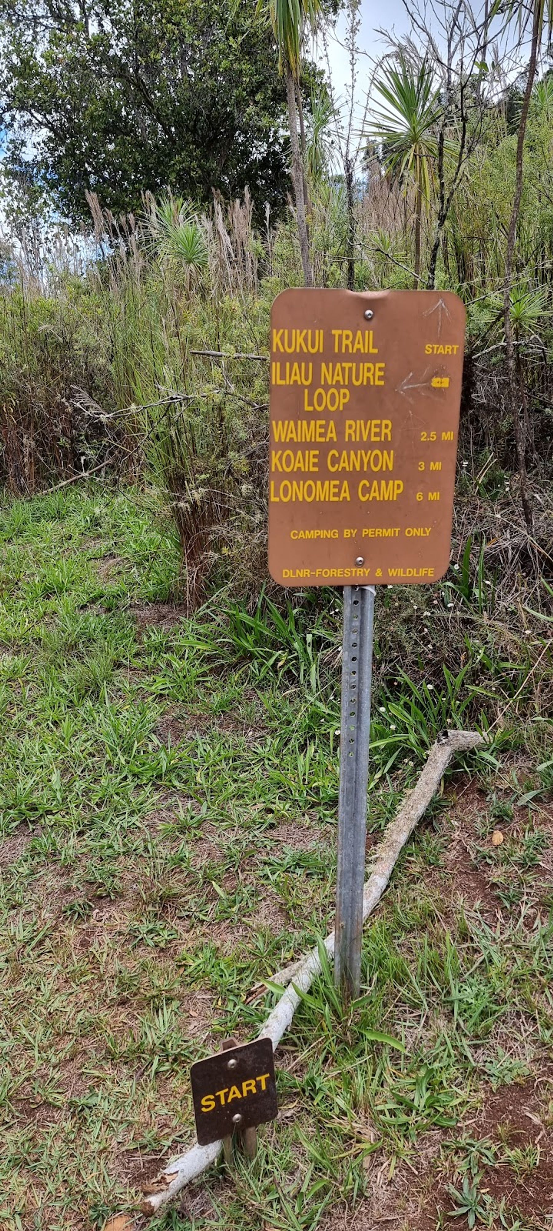 Photo 5 of Kukui Trail in Waimea Canyon & Kōkeʻe, Kauai