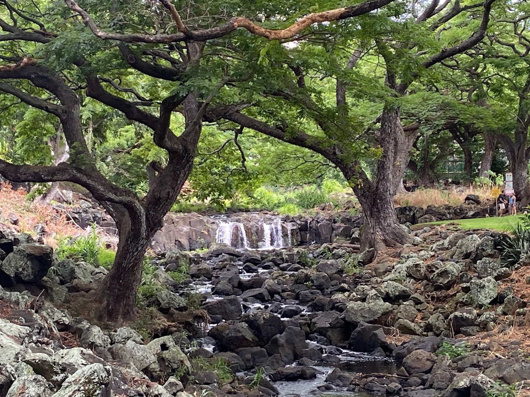 Photo 1 of Liliʻuokalani Botanical Garden in Mānoa, Makiki & Nuʻuanu, Oahu
