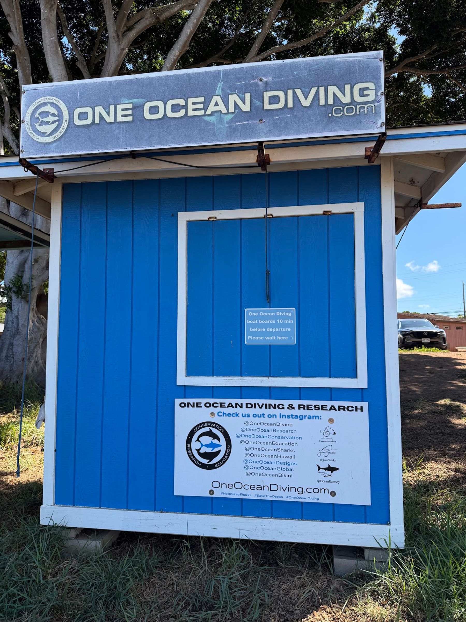 Photo 6 of One Ocean Diving in Haleʻiwa, Oahu
