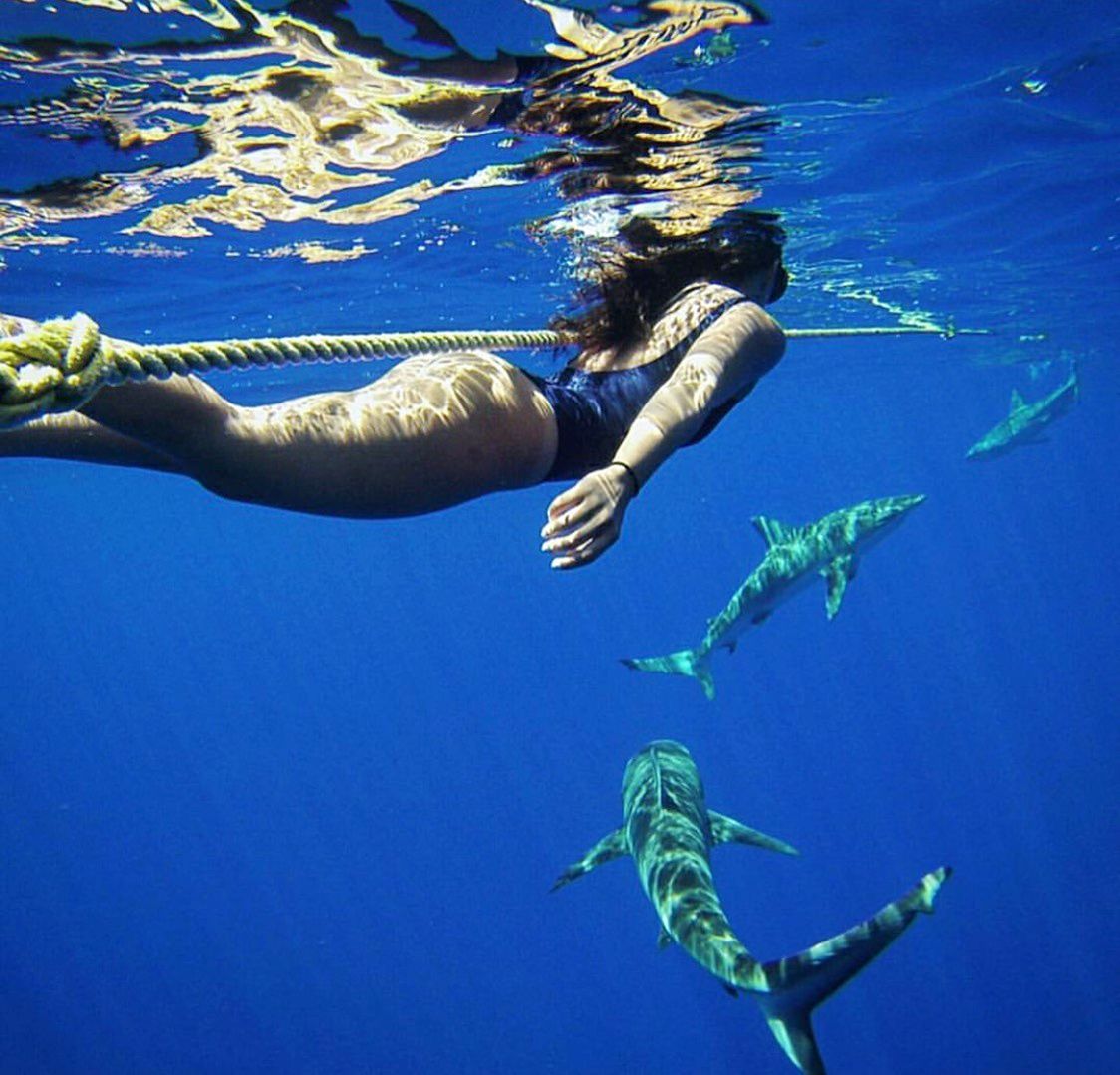 Photo 1 of Hawaii Adventure Diving in Haleʻiwa, Oahu