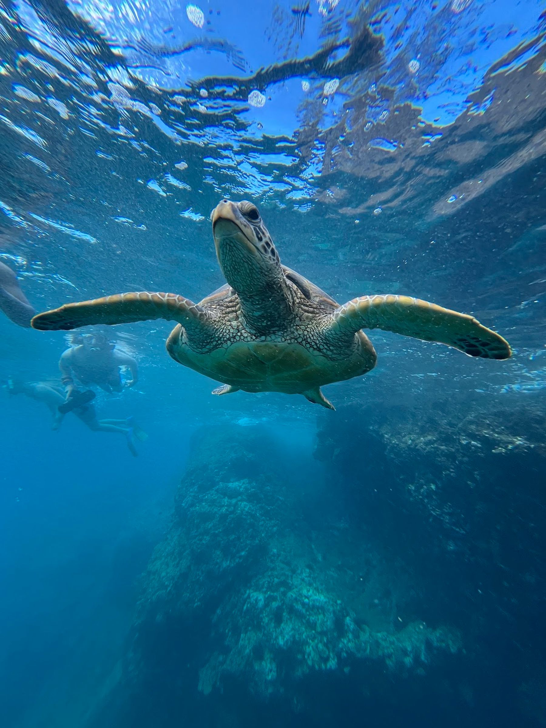 Photo 3 of Zephyr Maui in Kīhei, Maui