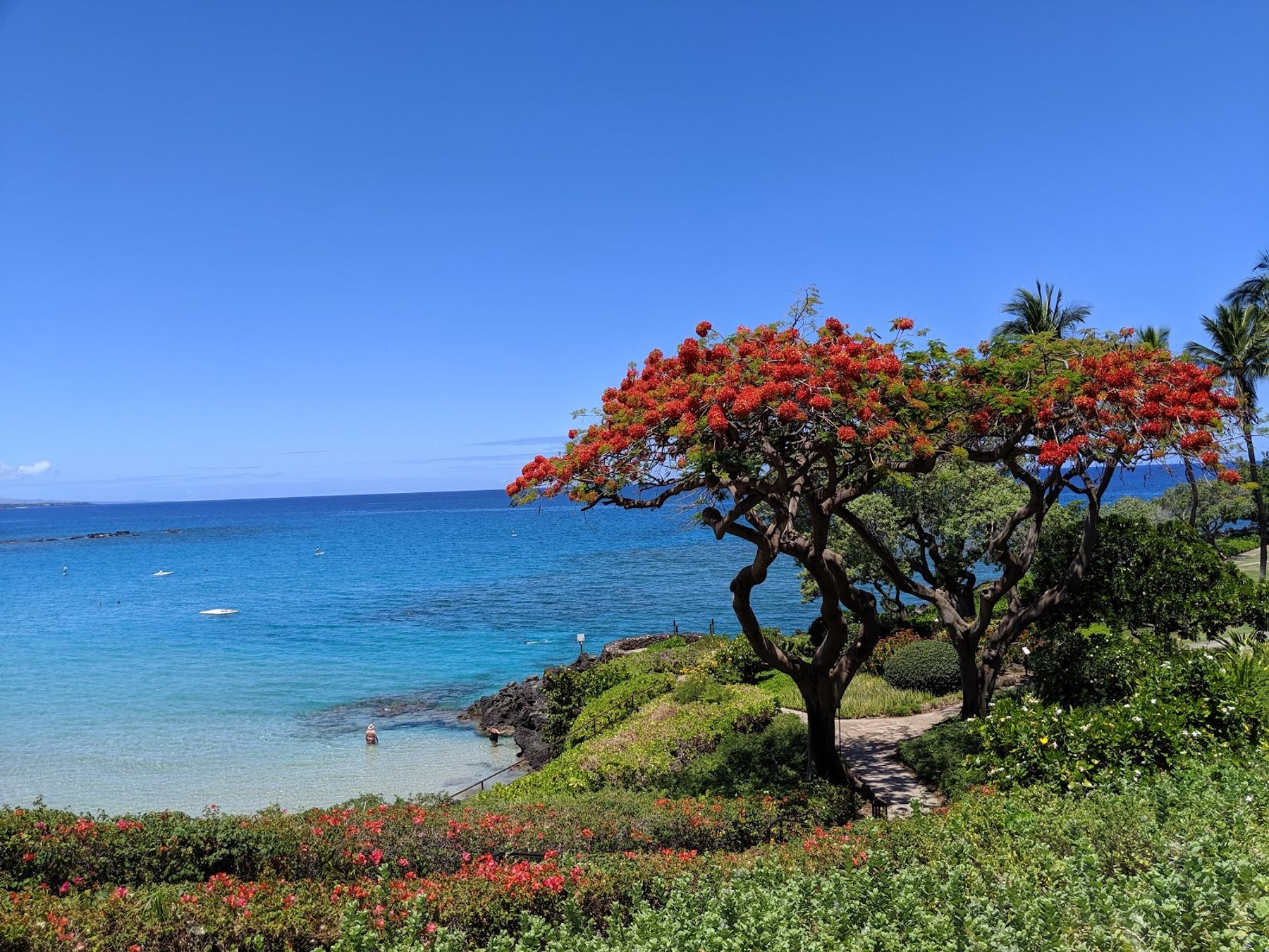 Photo 10 of Kaunaʻoa (Mauna Kea) Beach in Mauna Kea Beach, Big Island