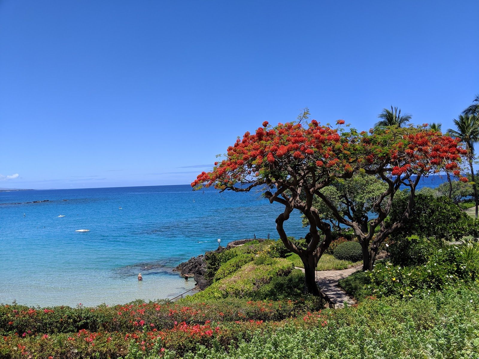 Photo 10 of Kaunaʻoa (Mauna Kea) Beach in Mauna Kea Beach, Big Island