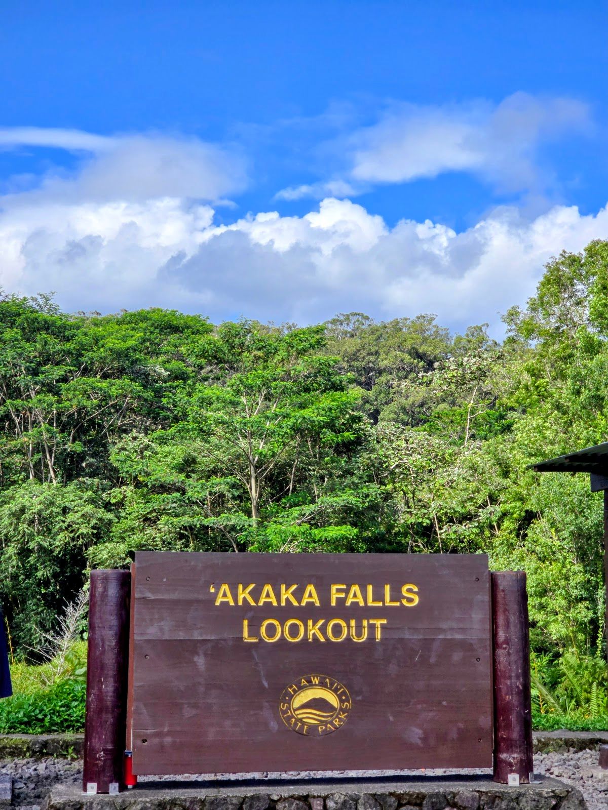Photo 9 of ‘Akaka Falls in Greater Hilo, Big Island
