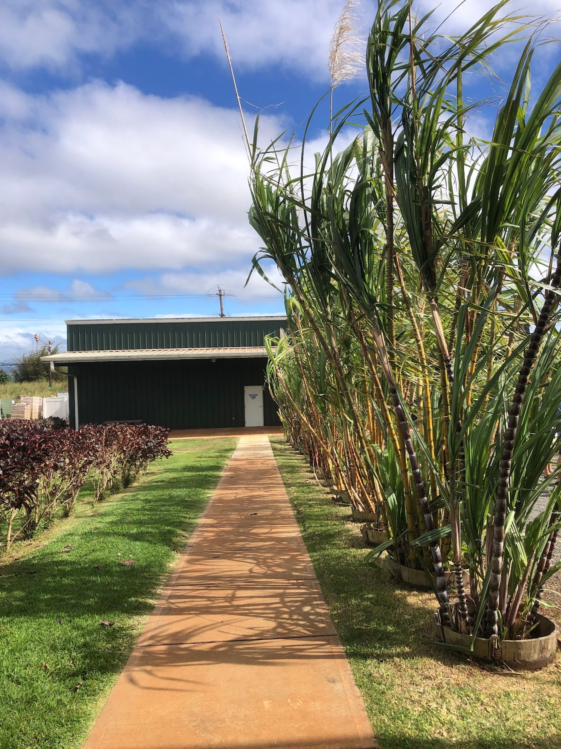 Photo 7 of Kō Hana Distillers in Waipahu & Kunia, Oahu