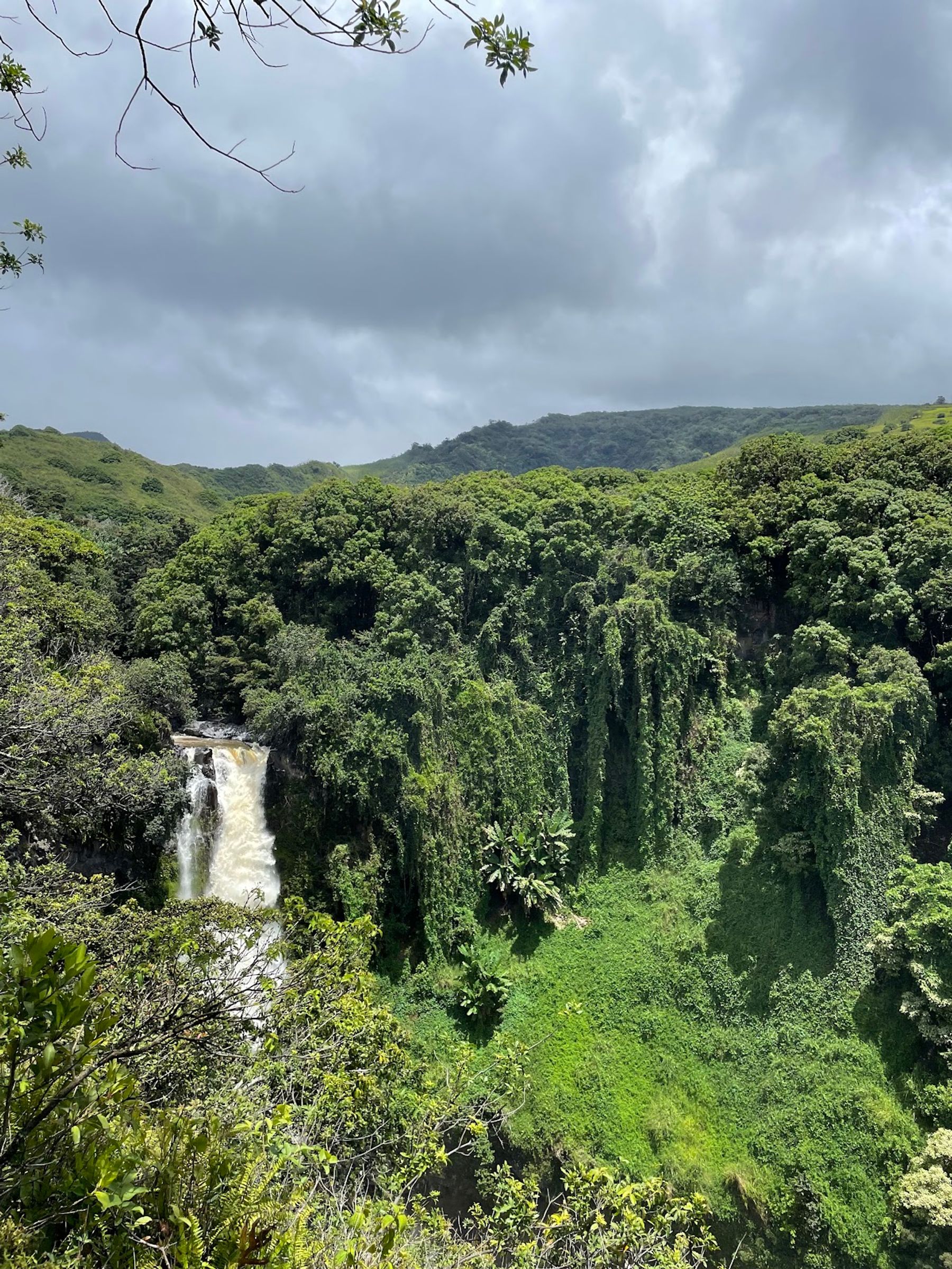 Photo 8 of Road to Hana in Keʻanae-Nāhiku, Maui