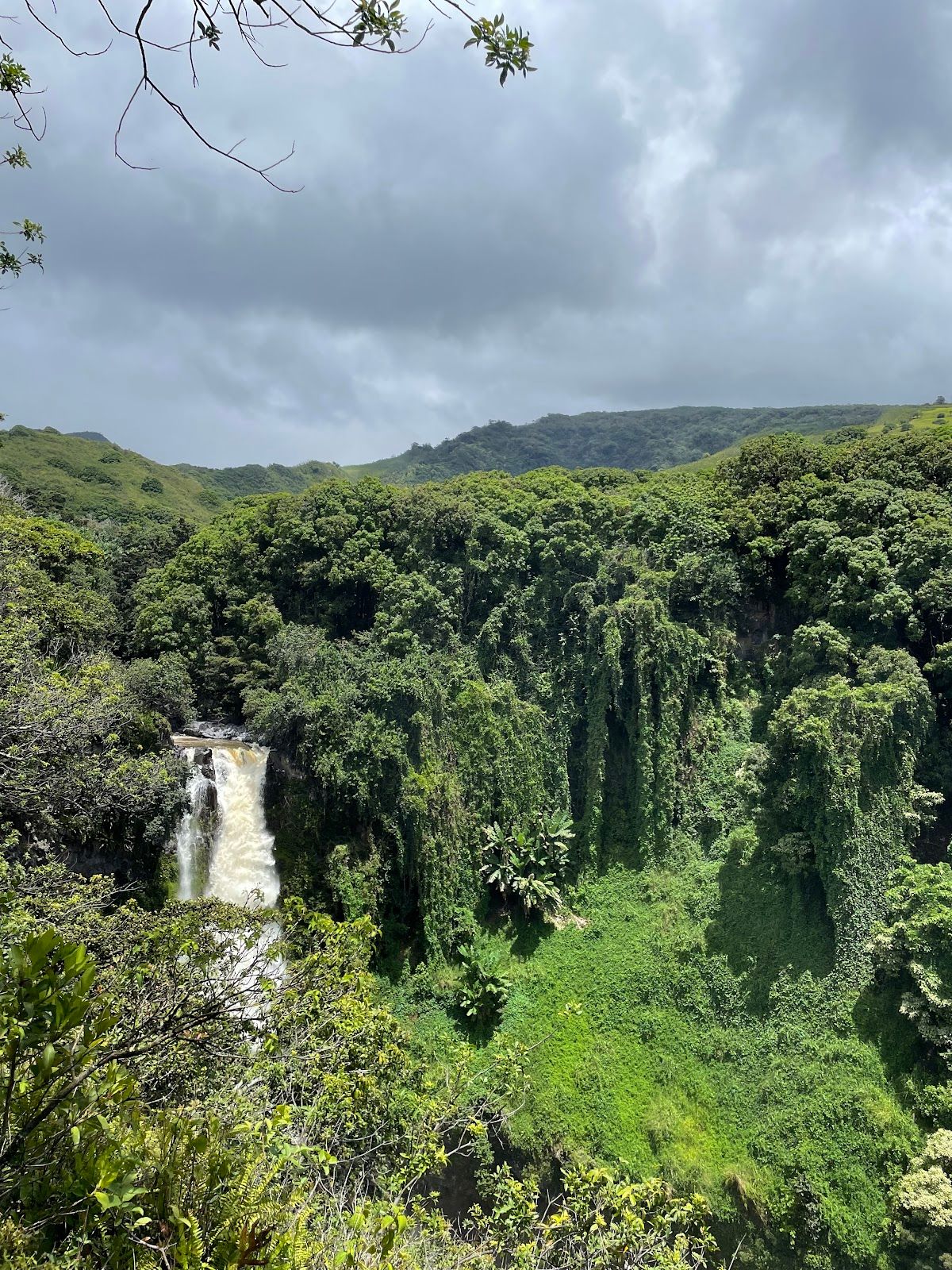 Photo 8 of Road to Hana in Keʻanae-Nāhiku, Maui