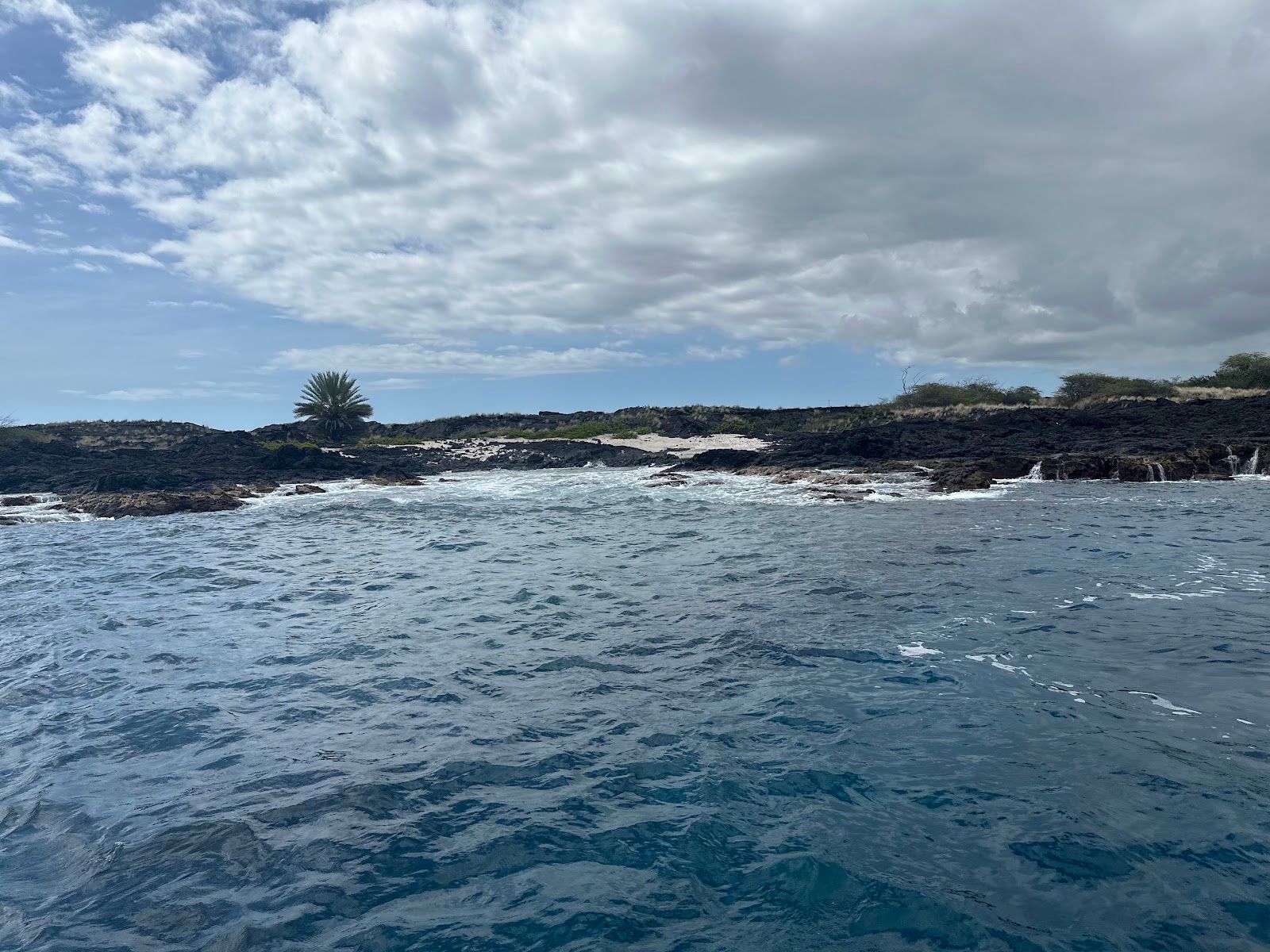 Photo 7 of Paradise Sailing Hawai‘i in Kailua-Kona, Big Island