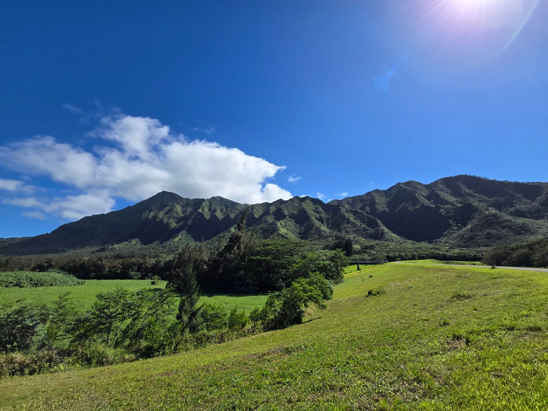 Photo 3 of Lulumahu Falls in Mānoa, Makiki & Nuʻuanu, Oahu