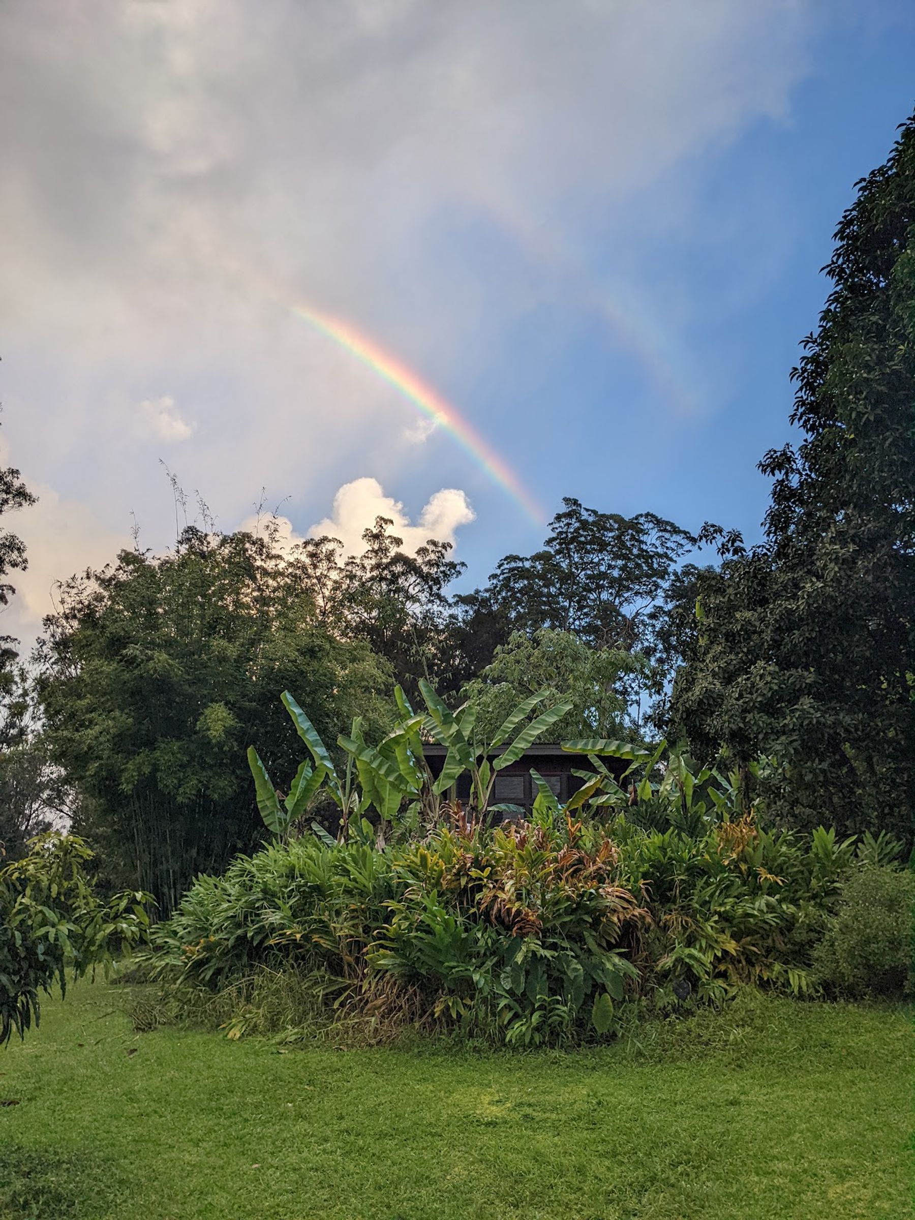 Photo 6 of Hamakua Sanctuary in Honokaʻa, Big-island