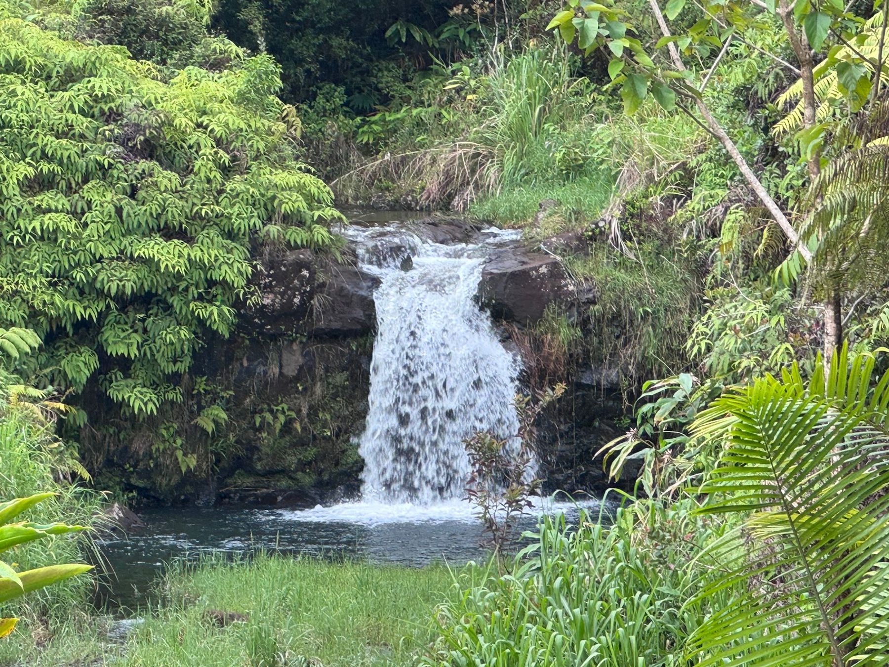 Photo 5 of Kikala Waterfall Lodge in Greater Hilo, Big-island