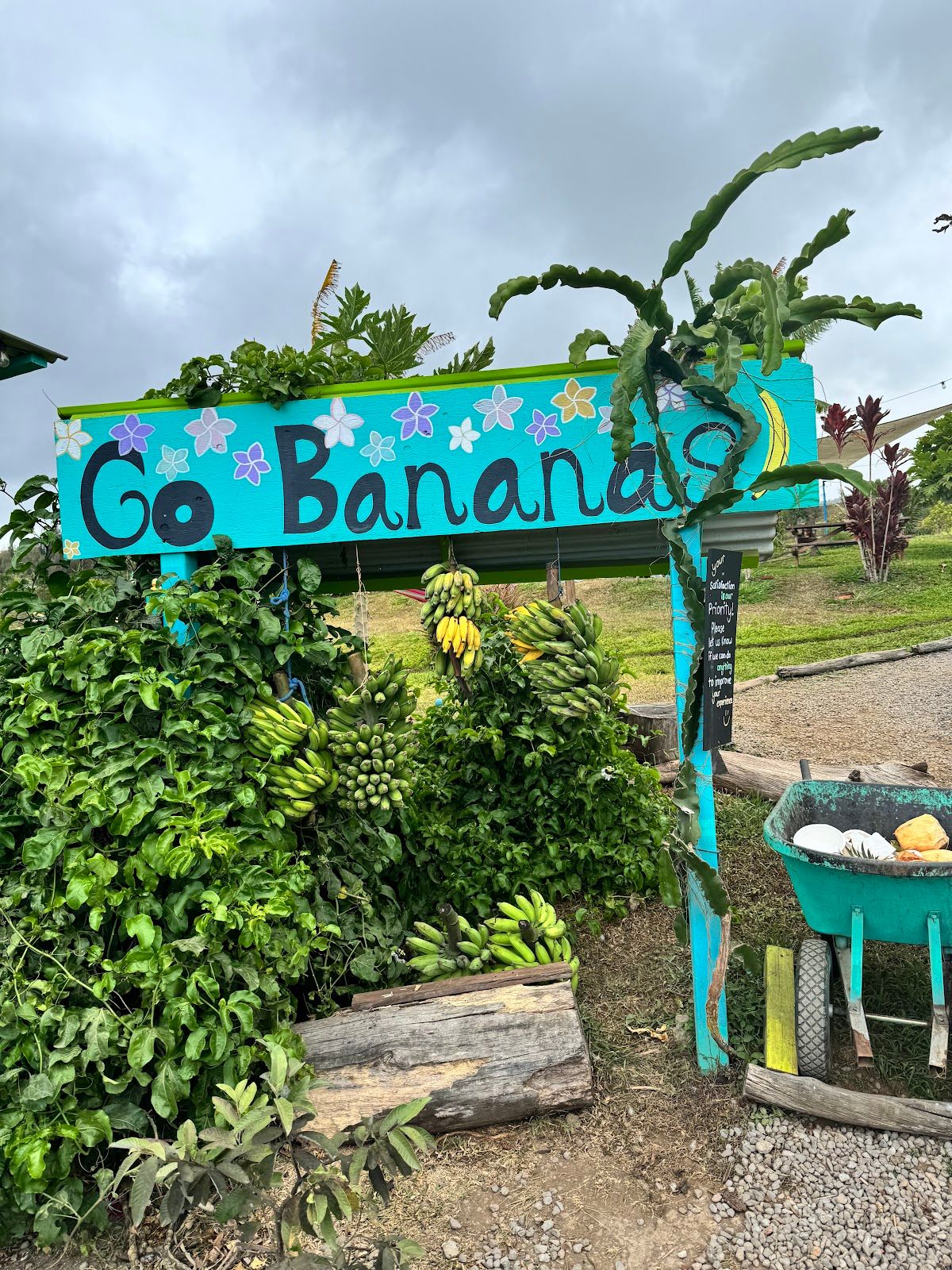 Photo 8 of Waipi'o Fruit Shack in Waipiʻo, Big Island