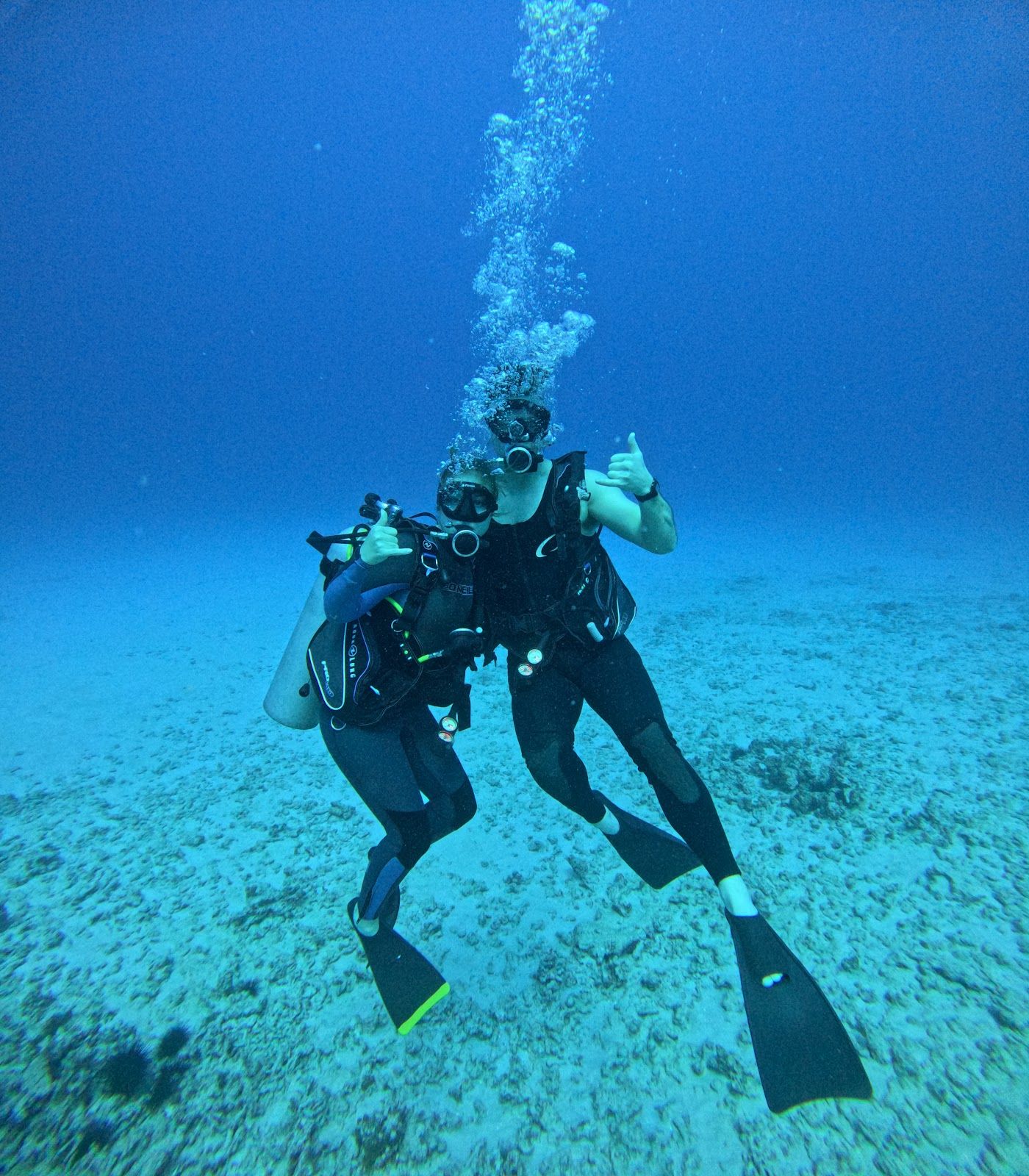 Photo 6 of Torpedo Tours in Kailua-Kona, Big Island