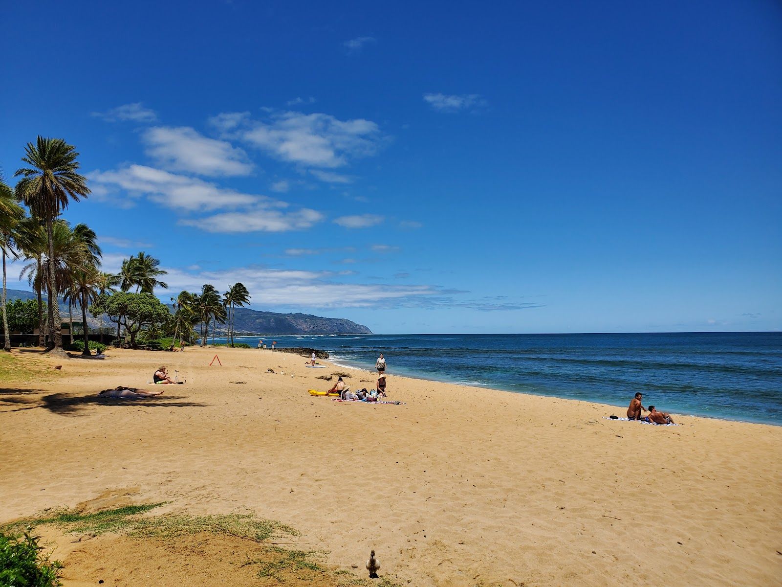Photo 6 of Haleʻiwa Aliʻi Beach Park in Haleʻiwa, Oahu