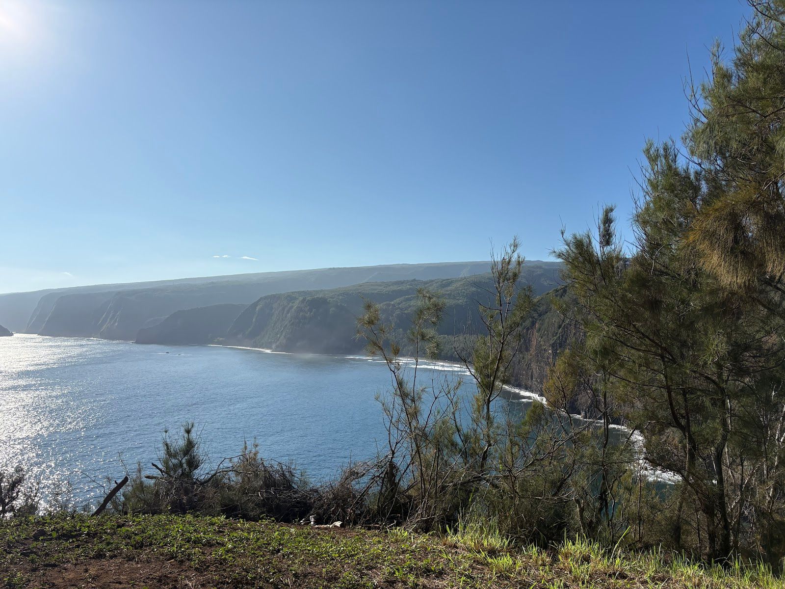 Photo 2 of Kohala UTV Adventure in North Kohala, Big Island