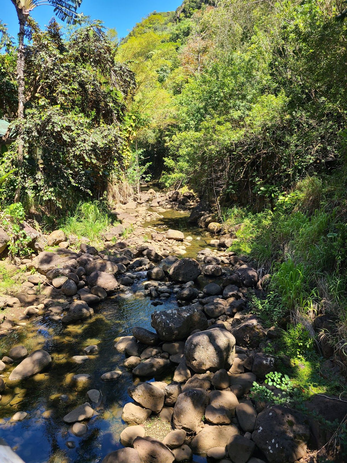 Photo 3 of Waimea Botanical Garden in Pūpūkea, Oahu