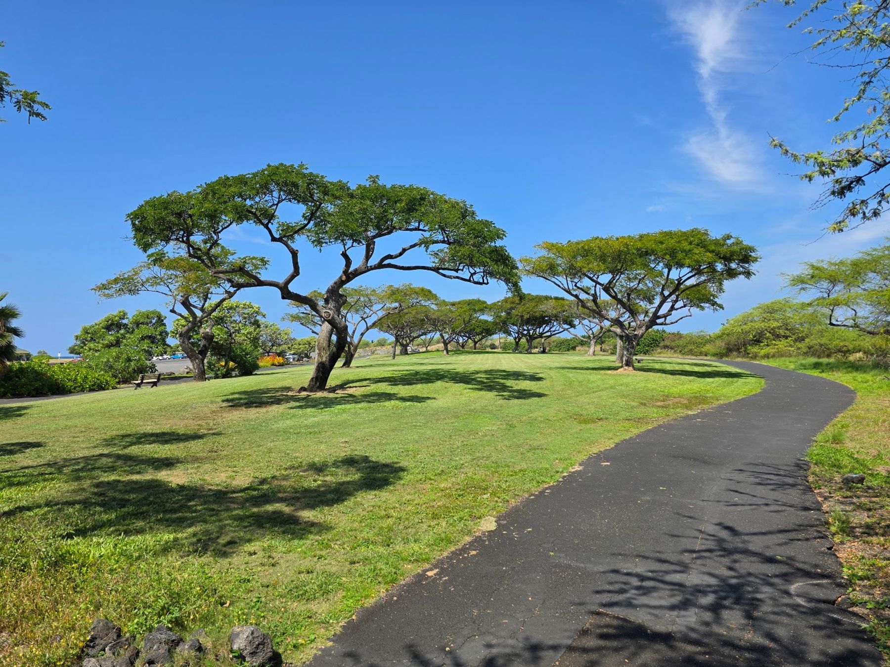 Photo 8 of Old Kona Airport State Recreation Area in Kailua-Kona, Big Island