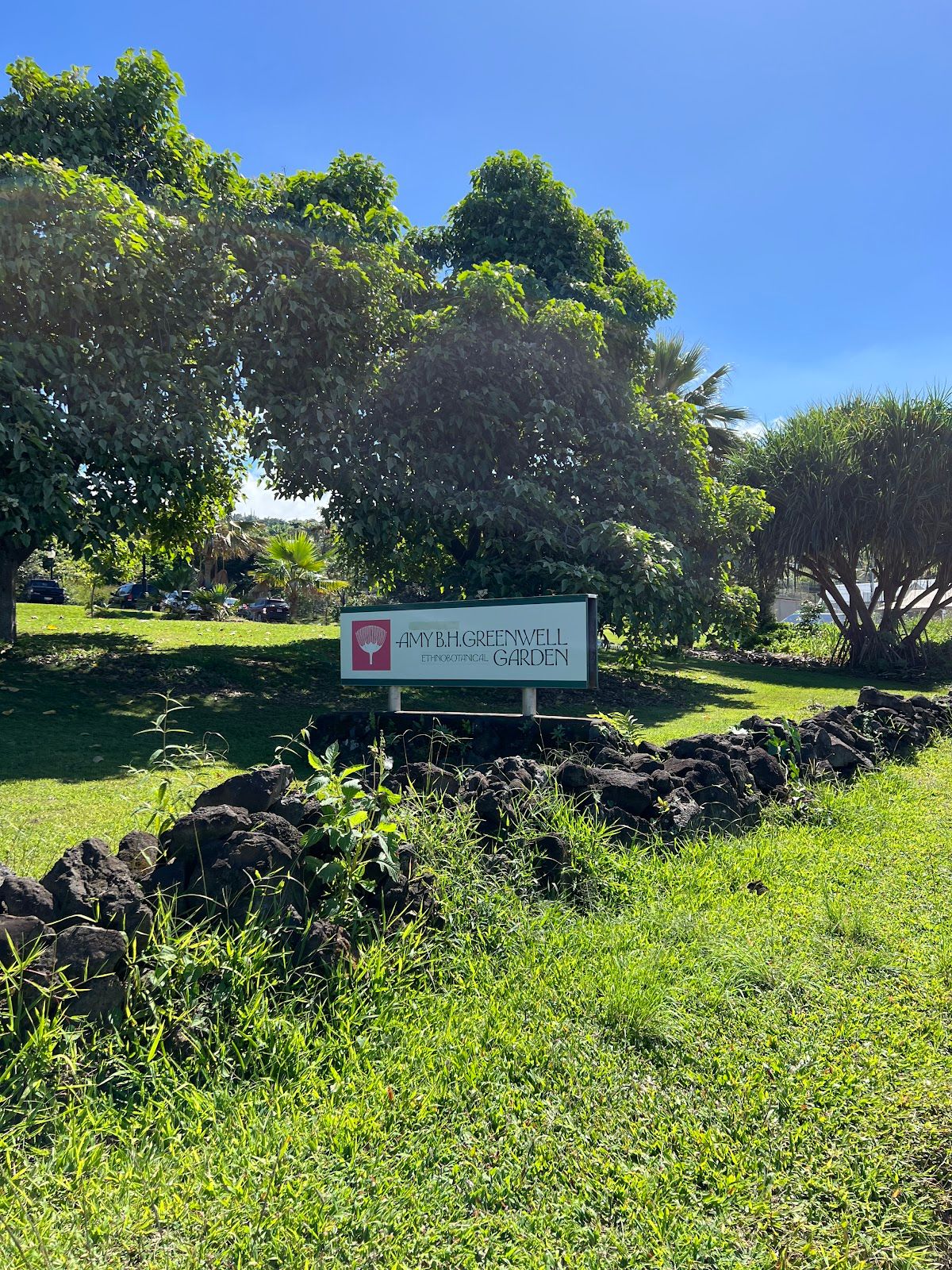 Photo 7 of Amy Greenwell Ethnobotanical Garden in South Kona, Big Island