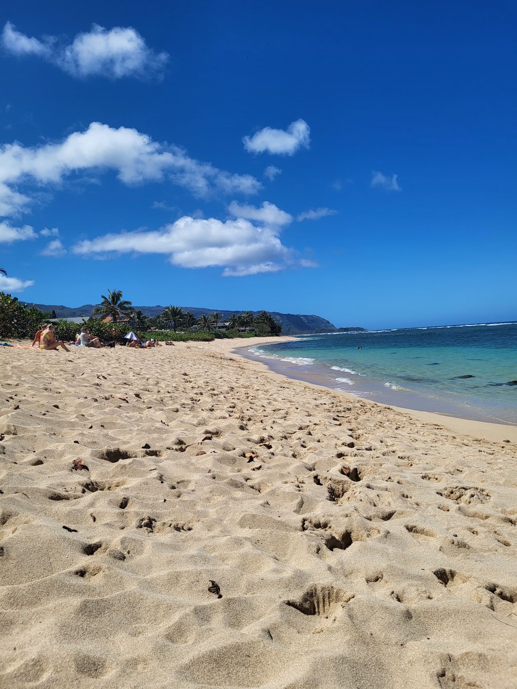 Photo 3 of ʻĀweoweo Beach Park in Waialua & Mokulēʻia, Oahu