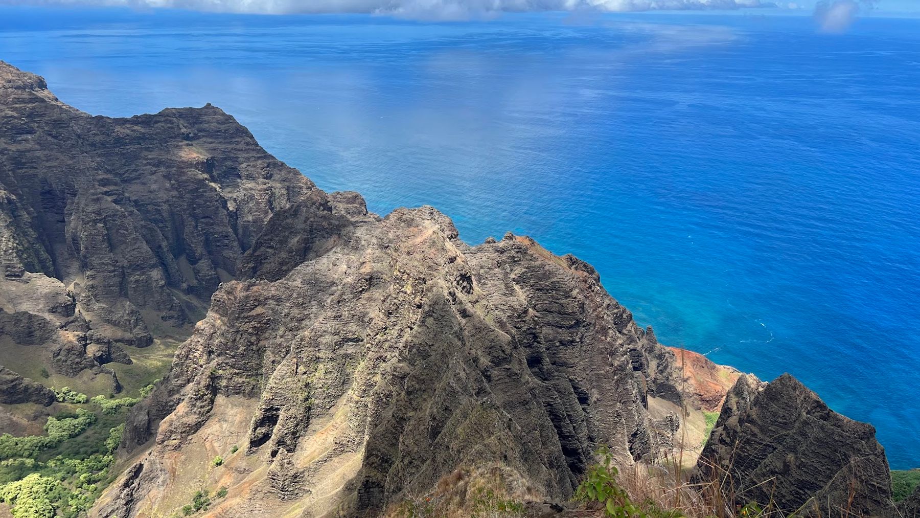 Na Pali-Kona Forest Reserve in Waimea, Kaua‘i photo 2