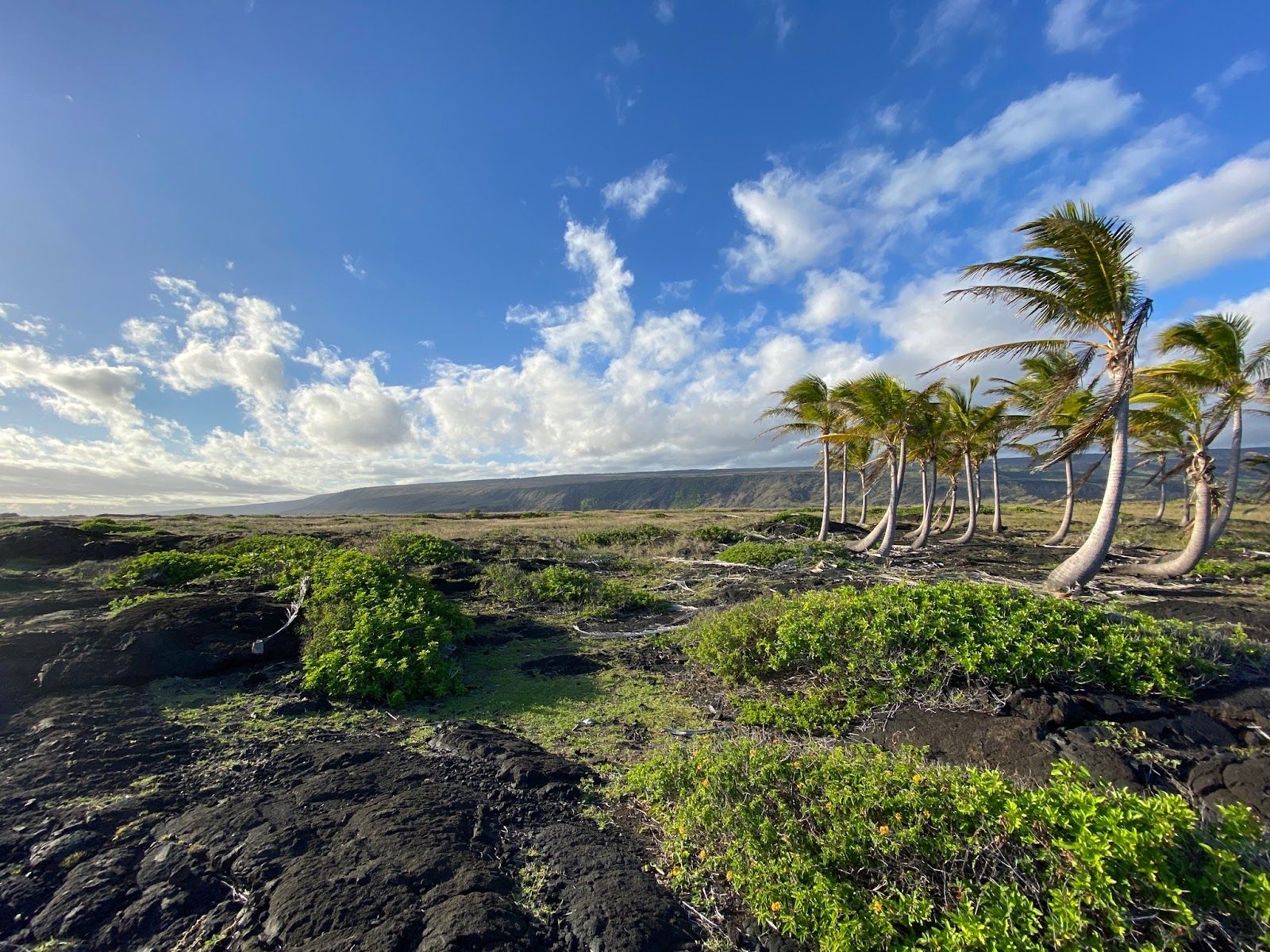 Photo 8 of Hōlei Sea Arch in Volcano, Big Island